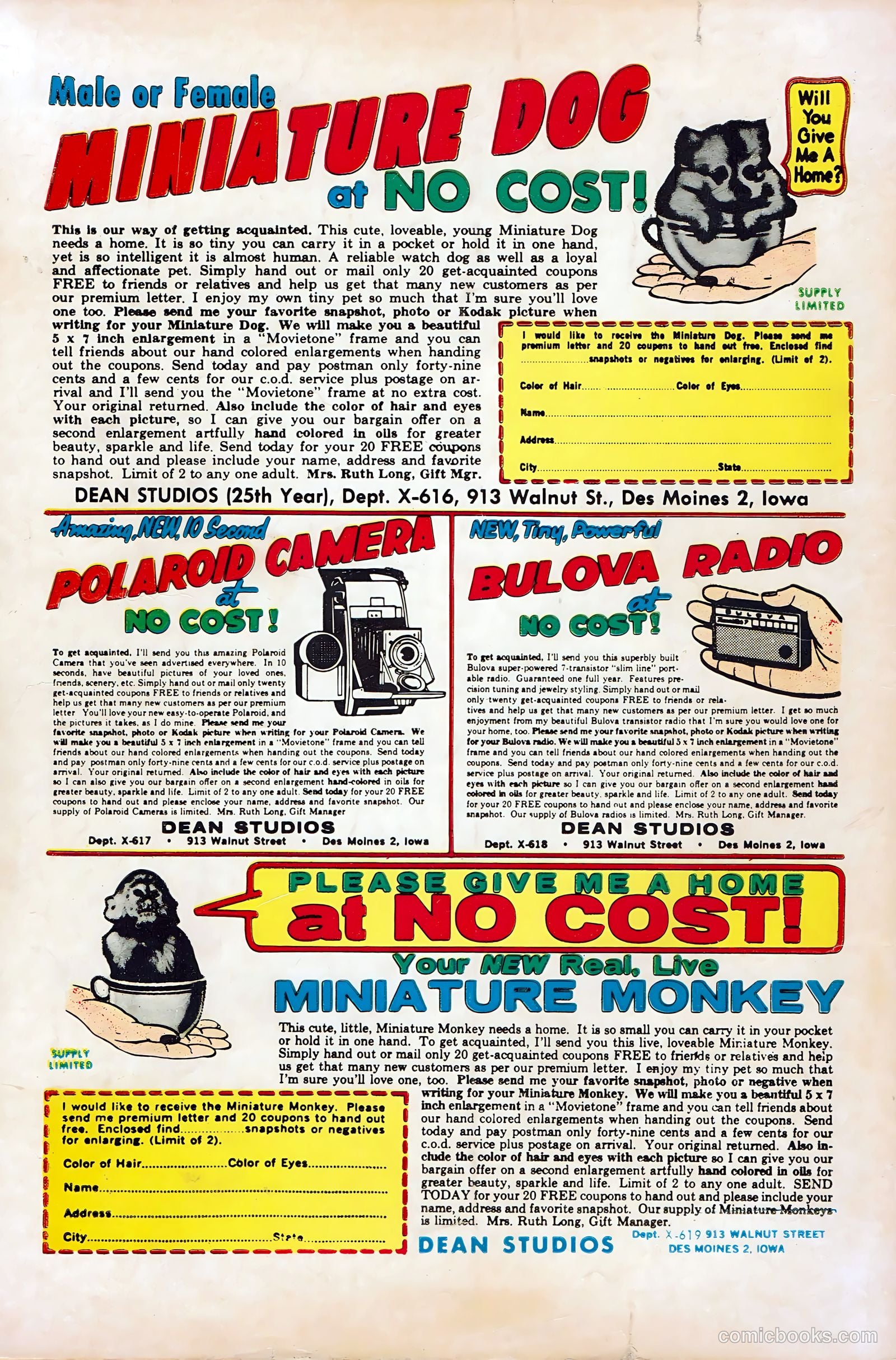 Teenage Hotrodders #3 (1963) — page 36 of 36