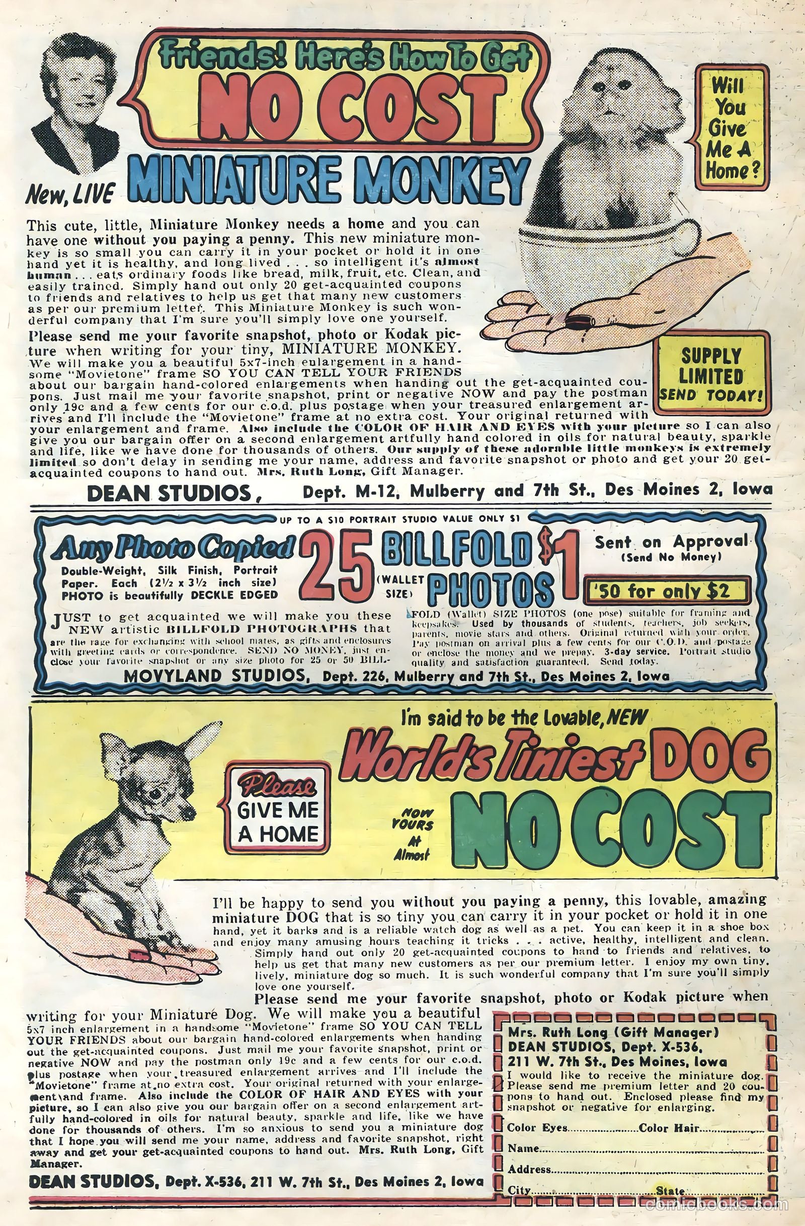 Battlefield Action #17 (1957) — page 34 of 36
