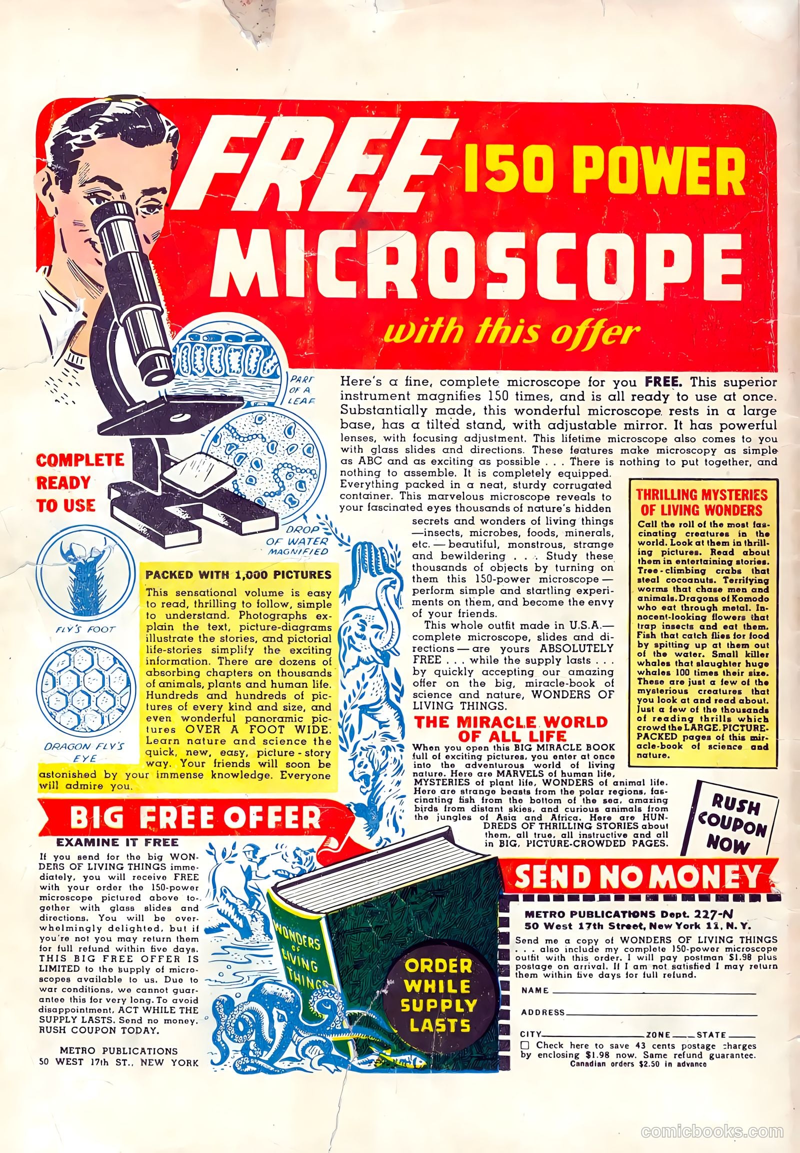 Terrific Comics #6 (1944) — page 52 of 52