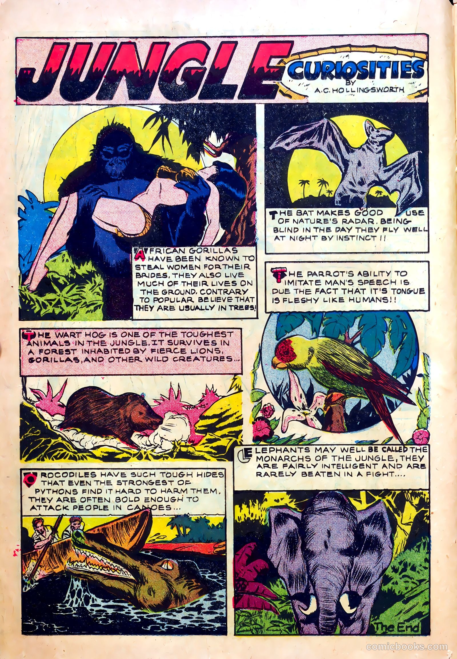 Terrifying Tales #11 (1953) — page 14 of 36