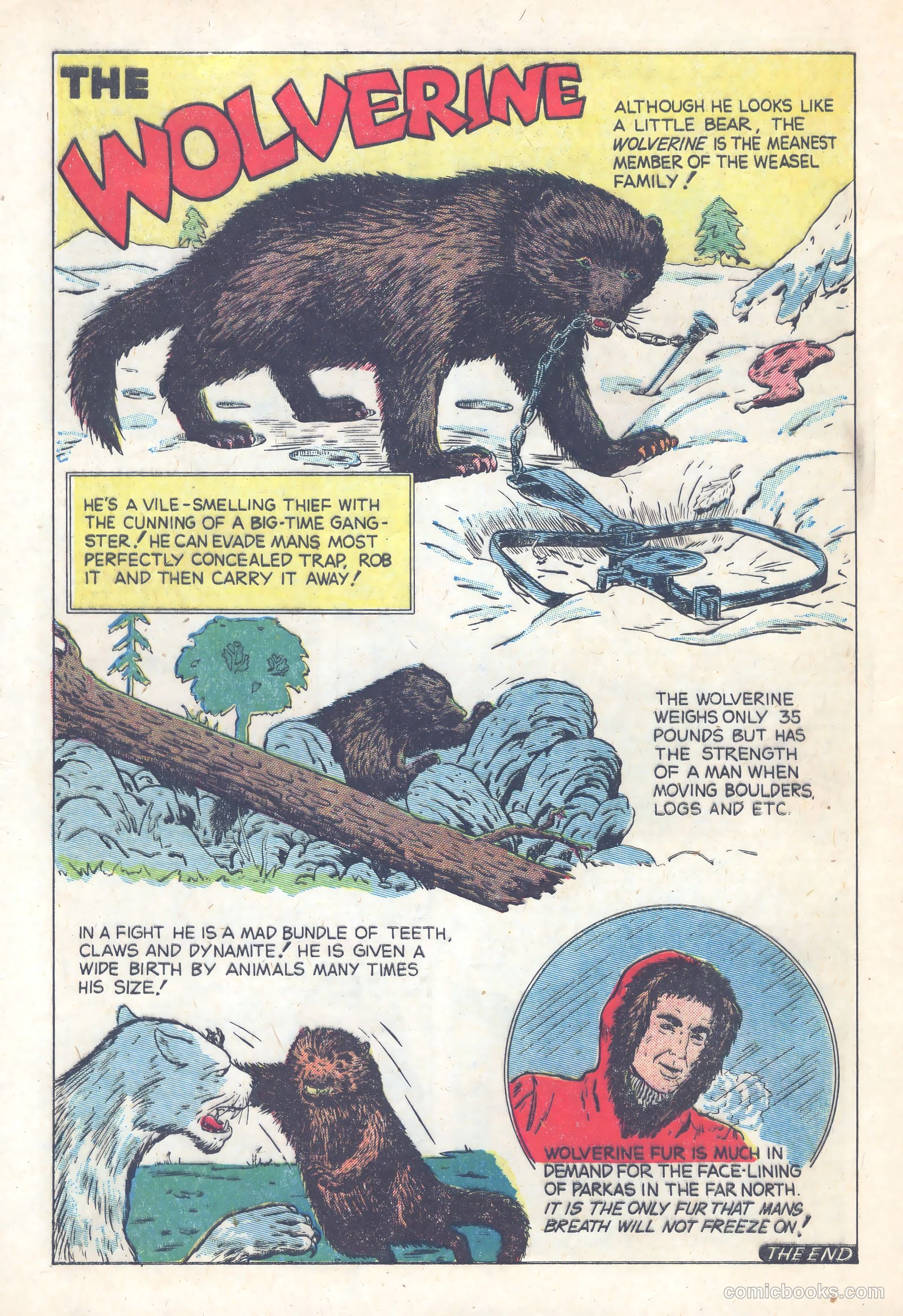 Terrors of the Jungle #21 (1953) — page 32 of 36