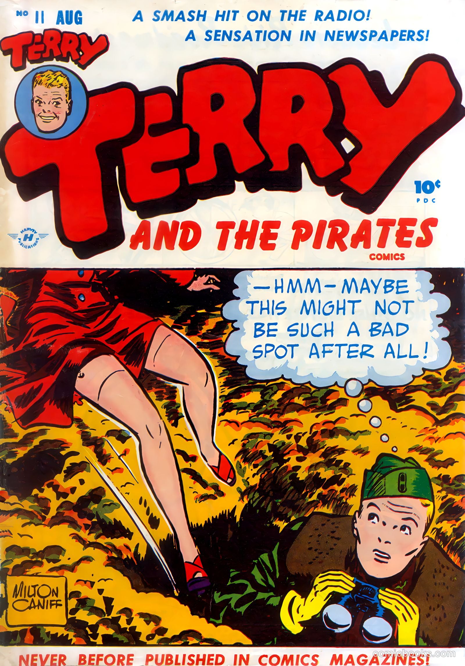 Terry and the Pirates #11