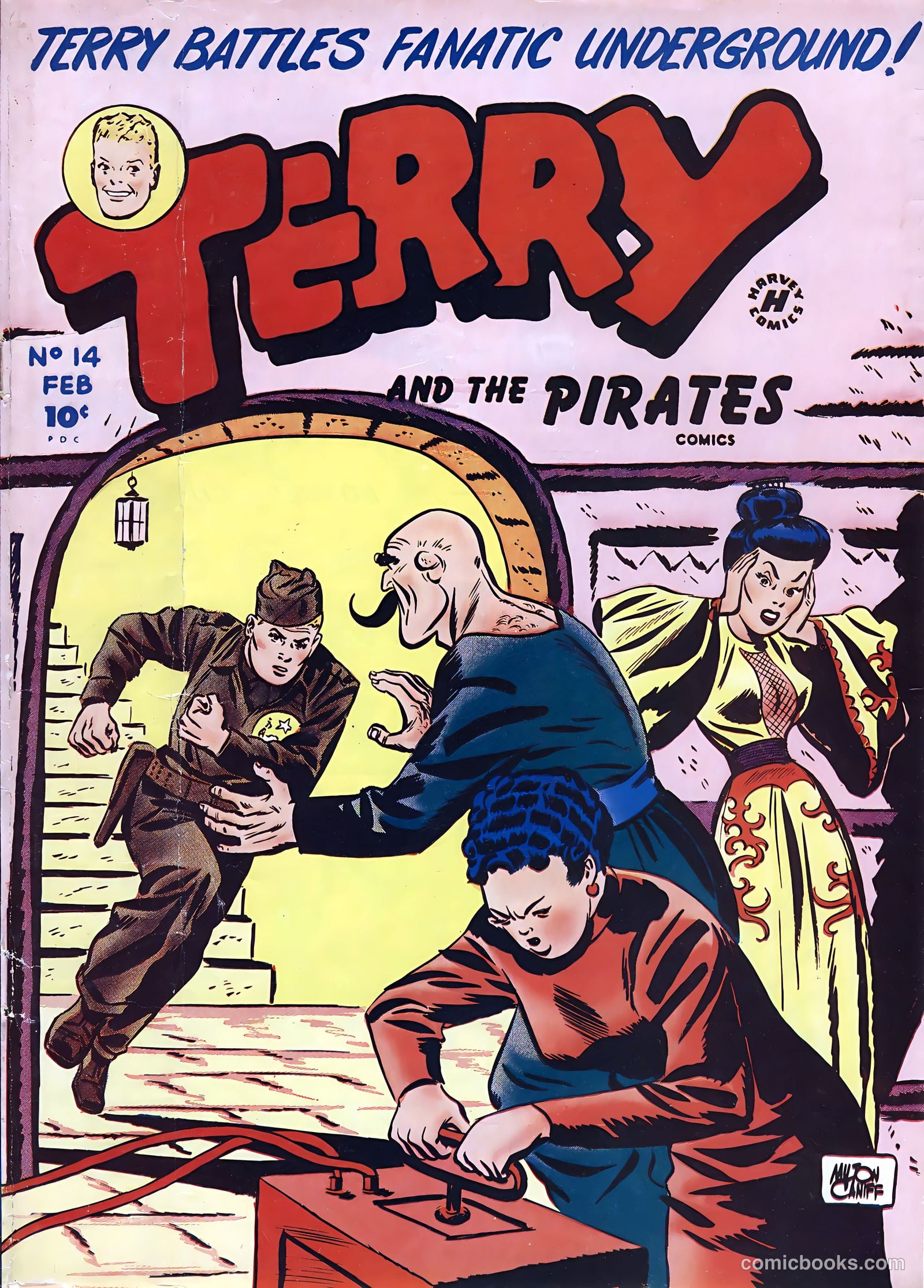 Terry and the Pirates #14