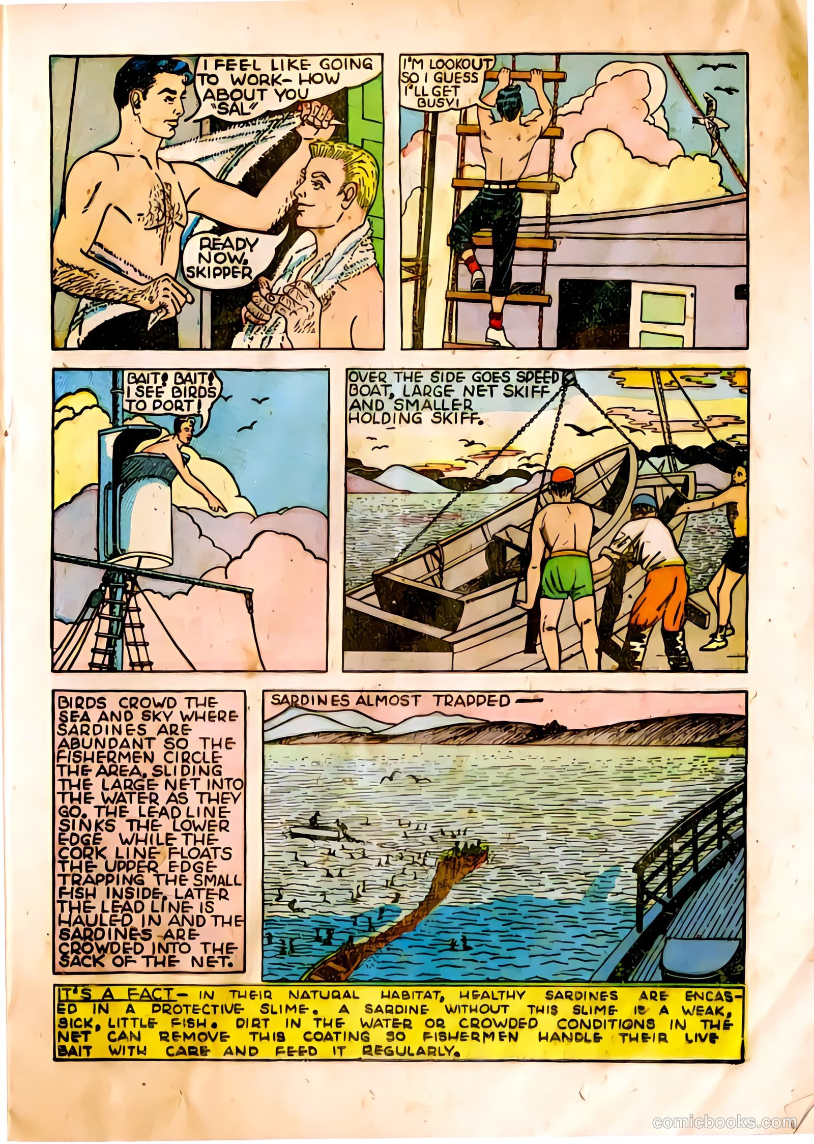 The Adventures of Manuel Pacifico Tuna Fisherman #1 (1950) — page 11 of 24