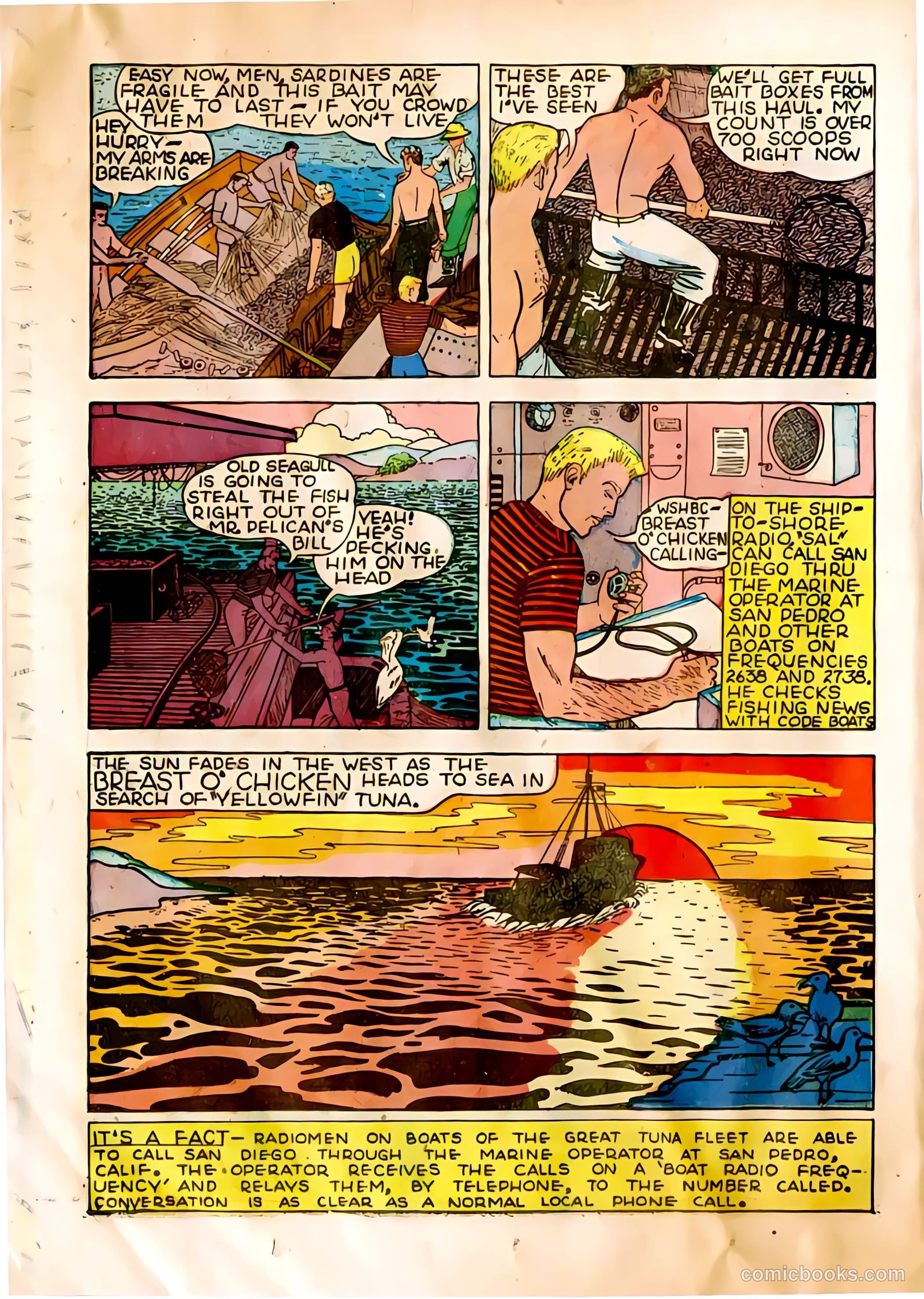 The Adventures of Manuel Pacifico Tuna Fisherman #1 (1950) — page 12 of 24
