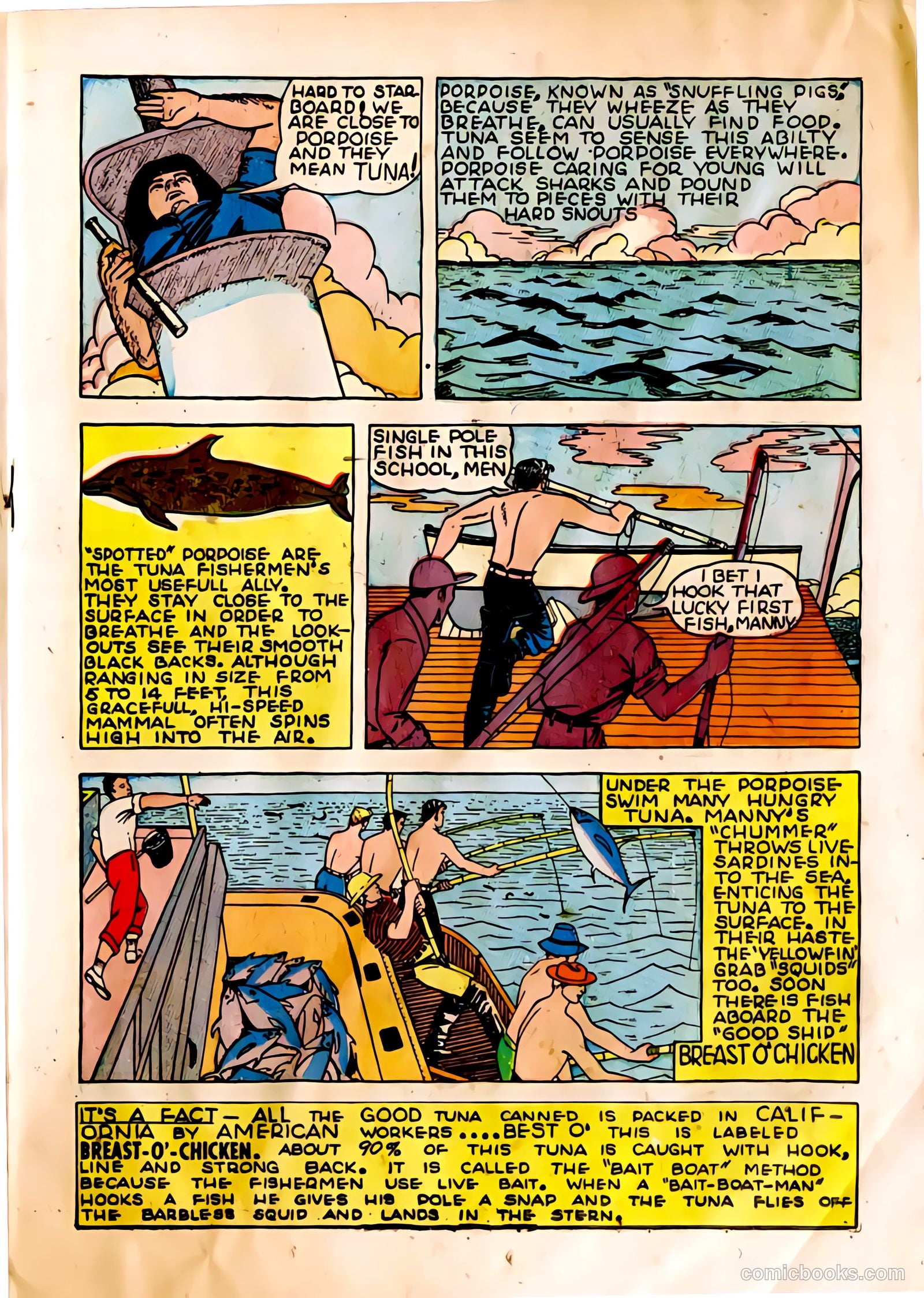 The Adventures of Manuel Pacifico Tuna Fisherman #1 (1950) — page 13 of 24