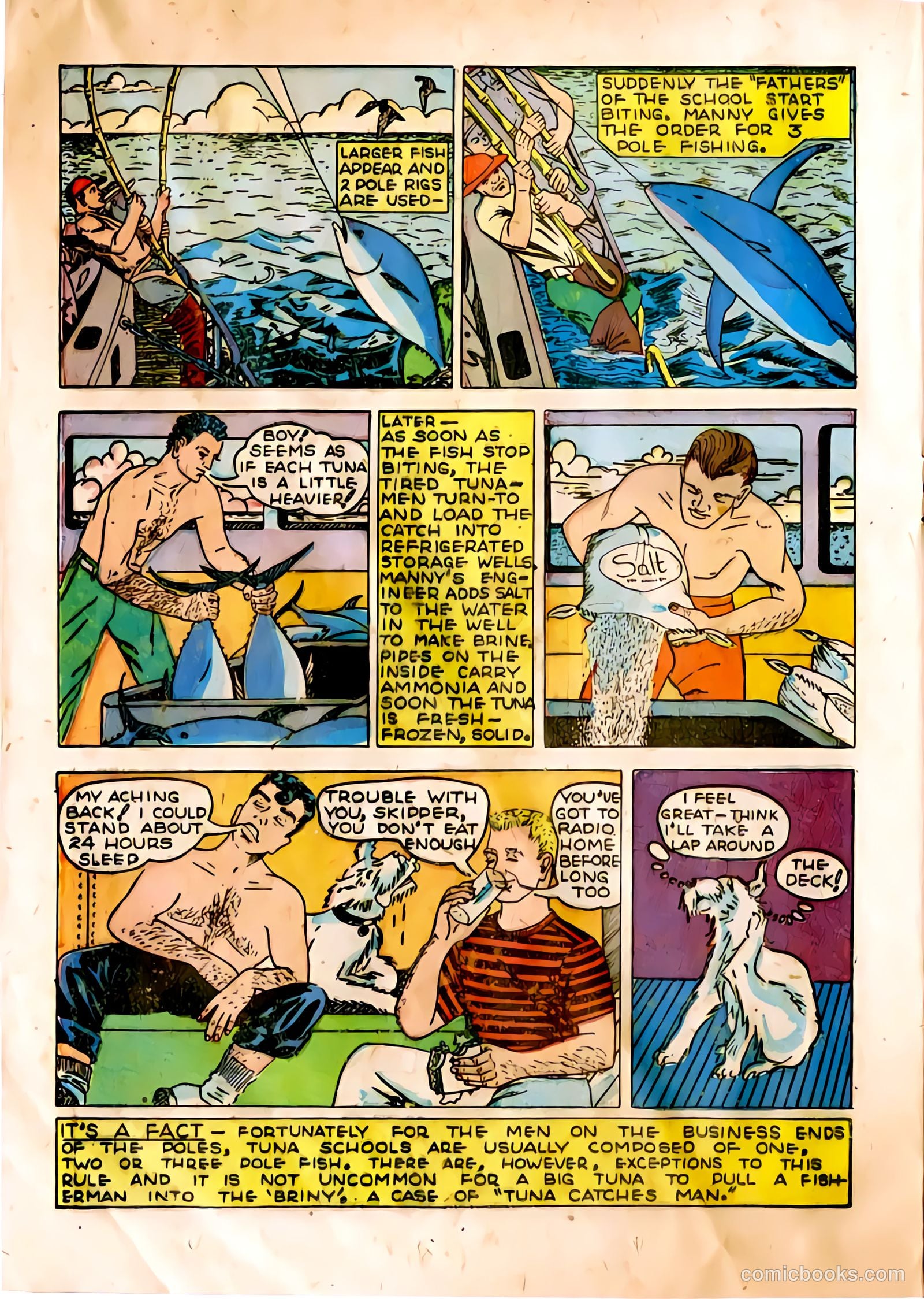 The Adventures of Manuel Pacifico Tuna Fisherman #1 (1950) — page 14 of 24