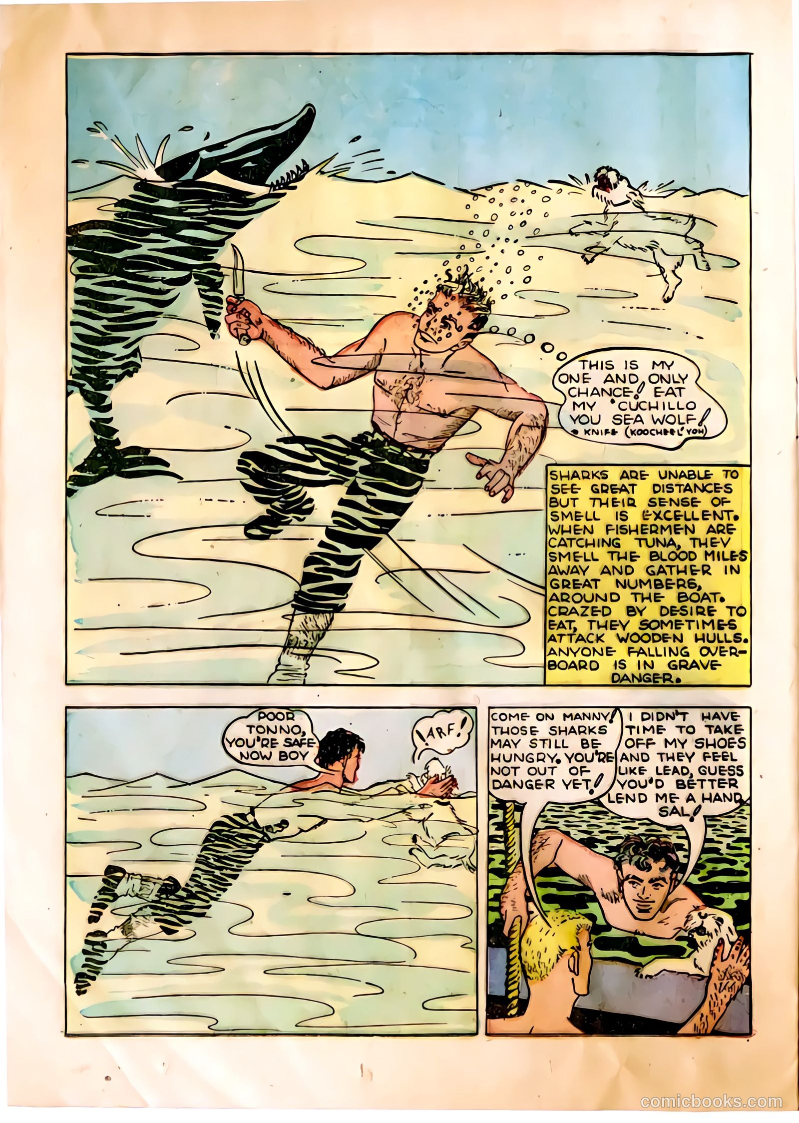The Adventures of Manuel Pacifico Tuna Fisherman #1 (1950) — page 16 of 24