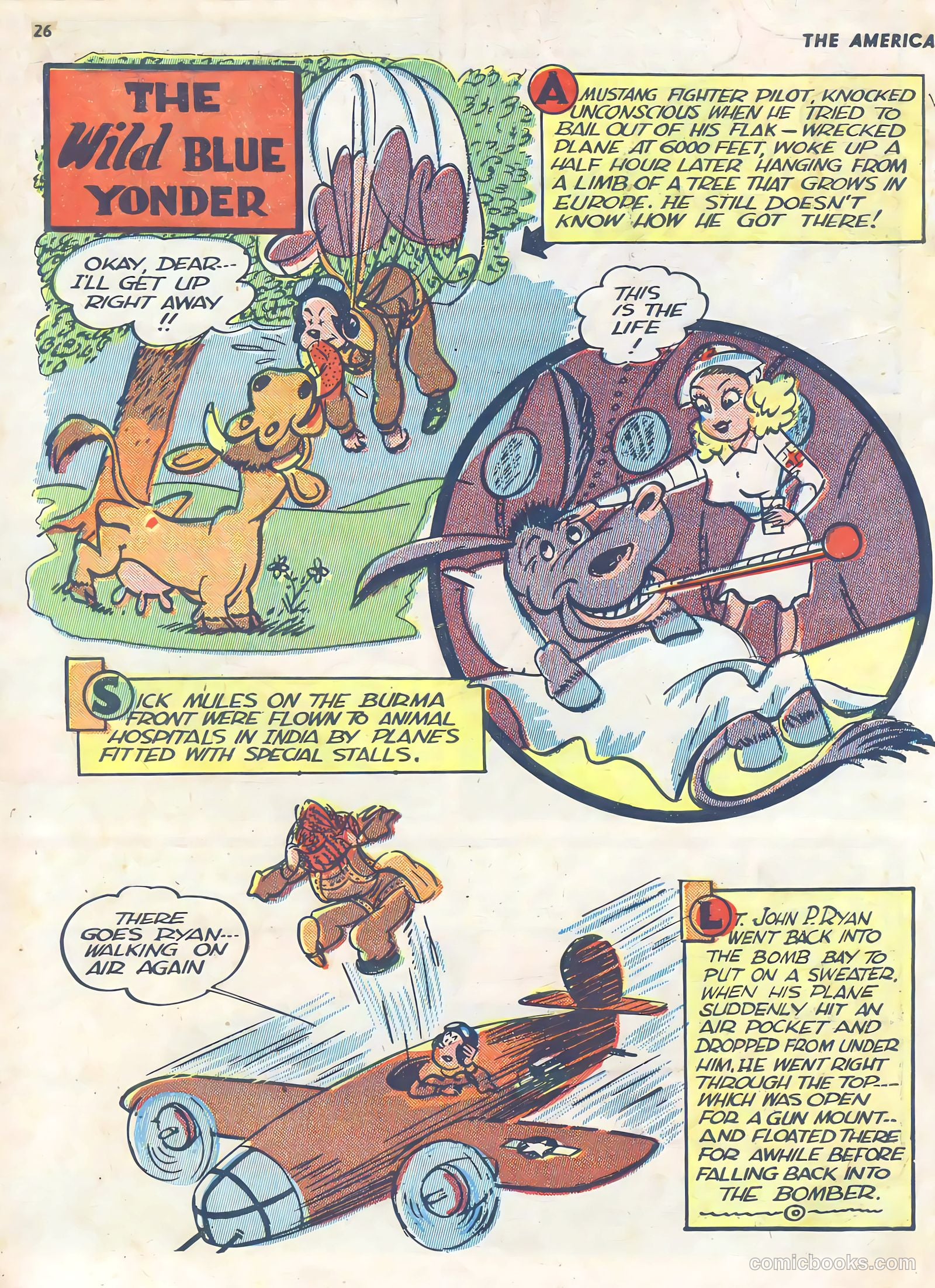 The American Air Forces #4 (1945) — page 27 of 53