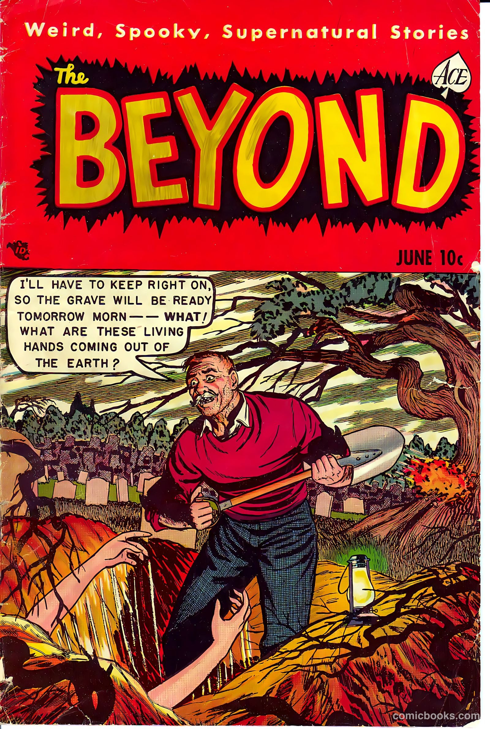 The Beyond #12