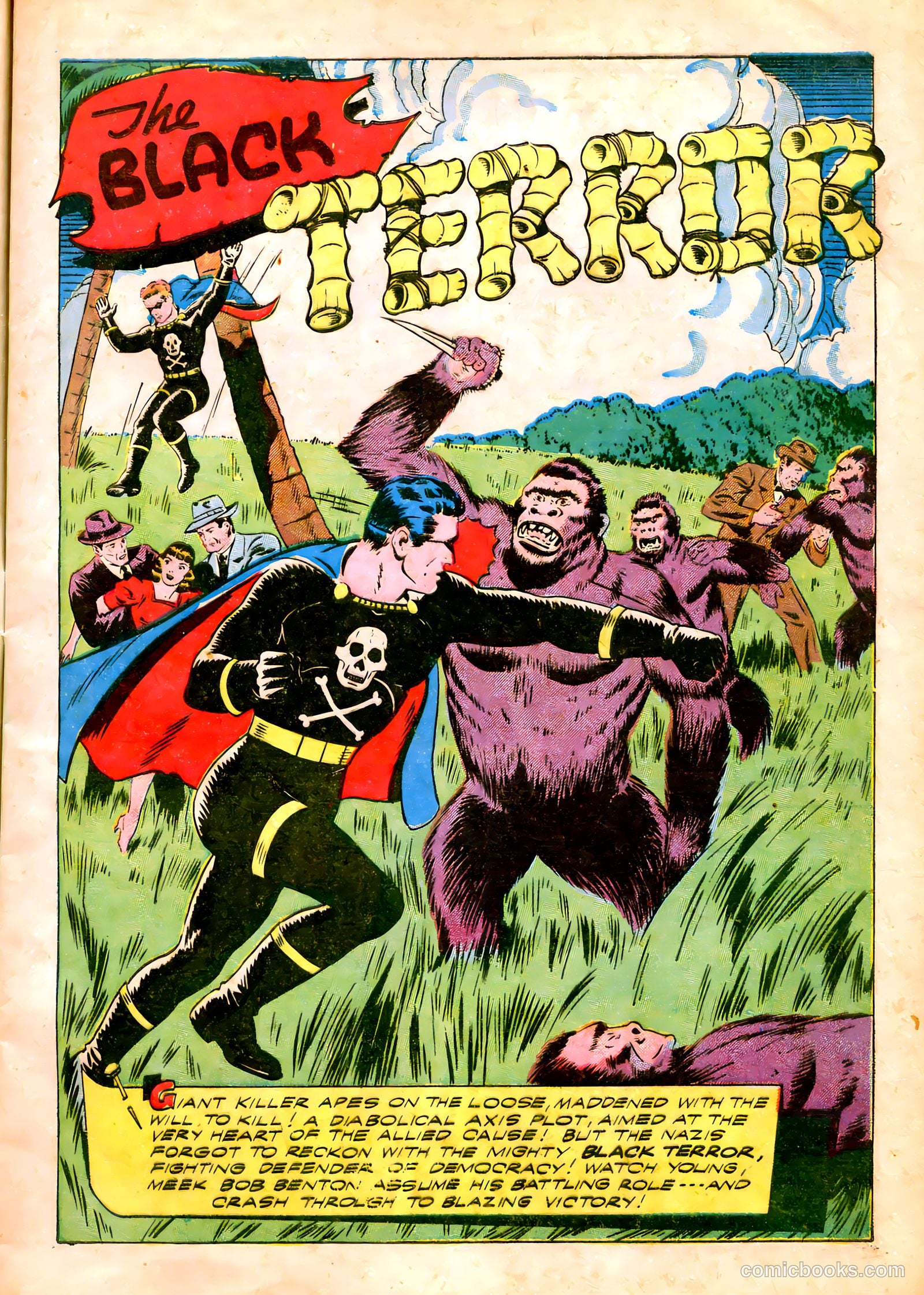 The Black Terror #3 (1943) — page 16 of 57