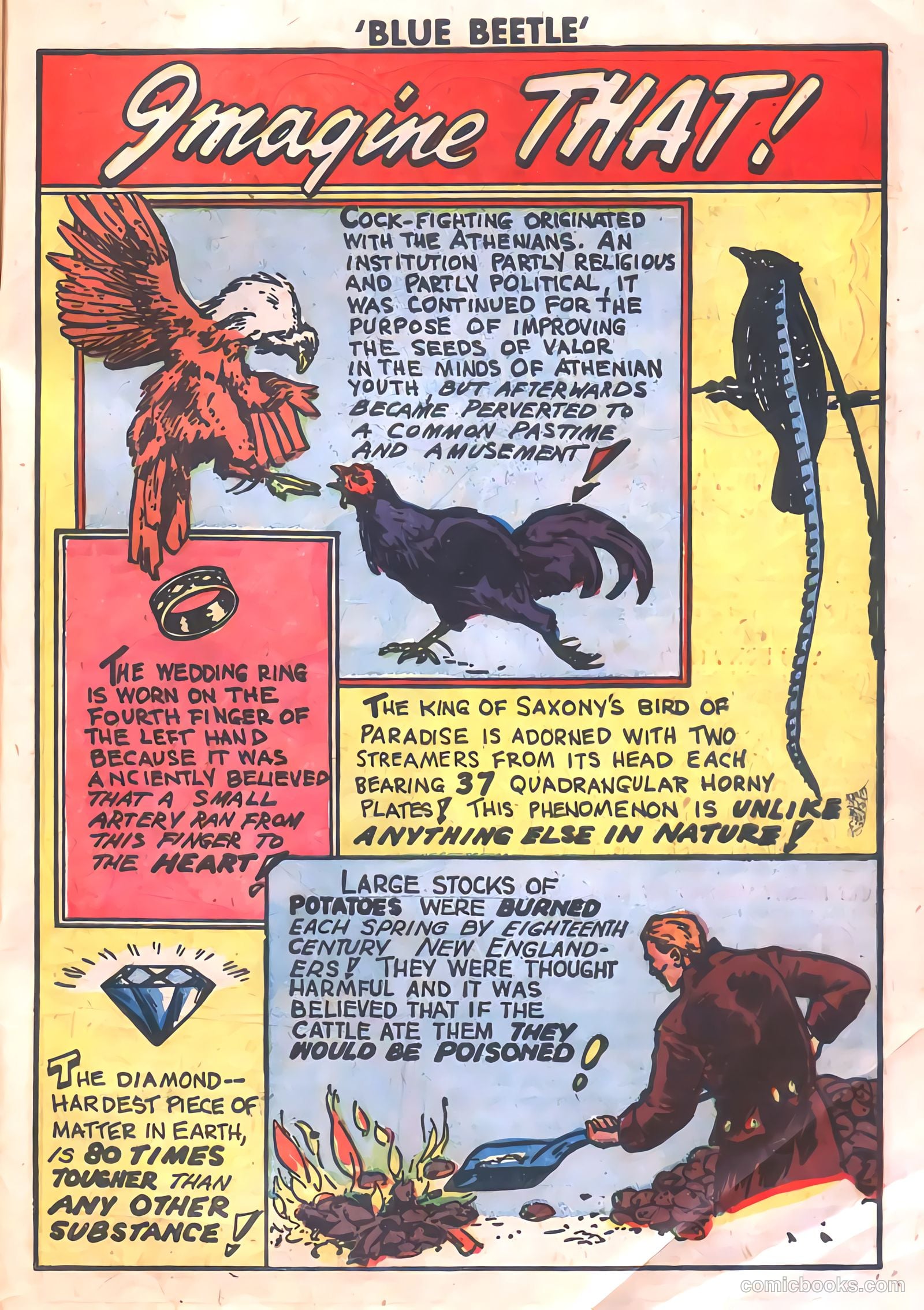 The Blue Beetle #19 (1955) — page 33 of 36