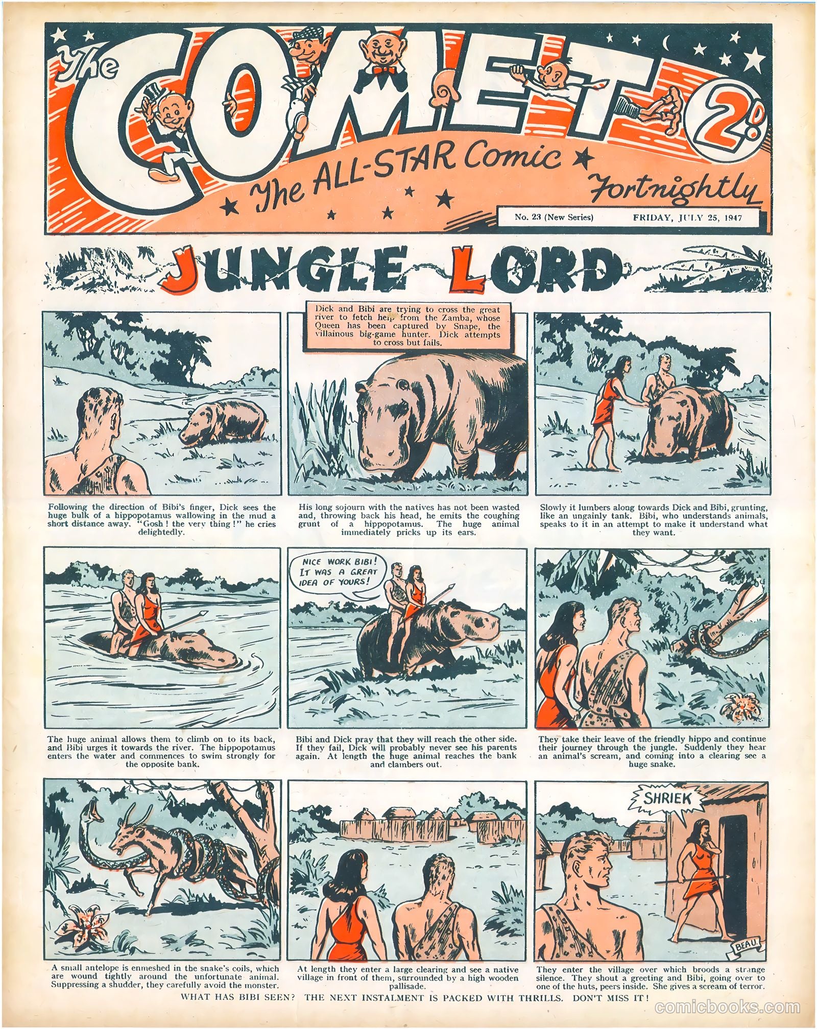 The Comet #23