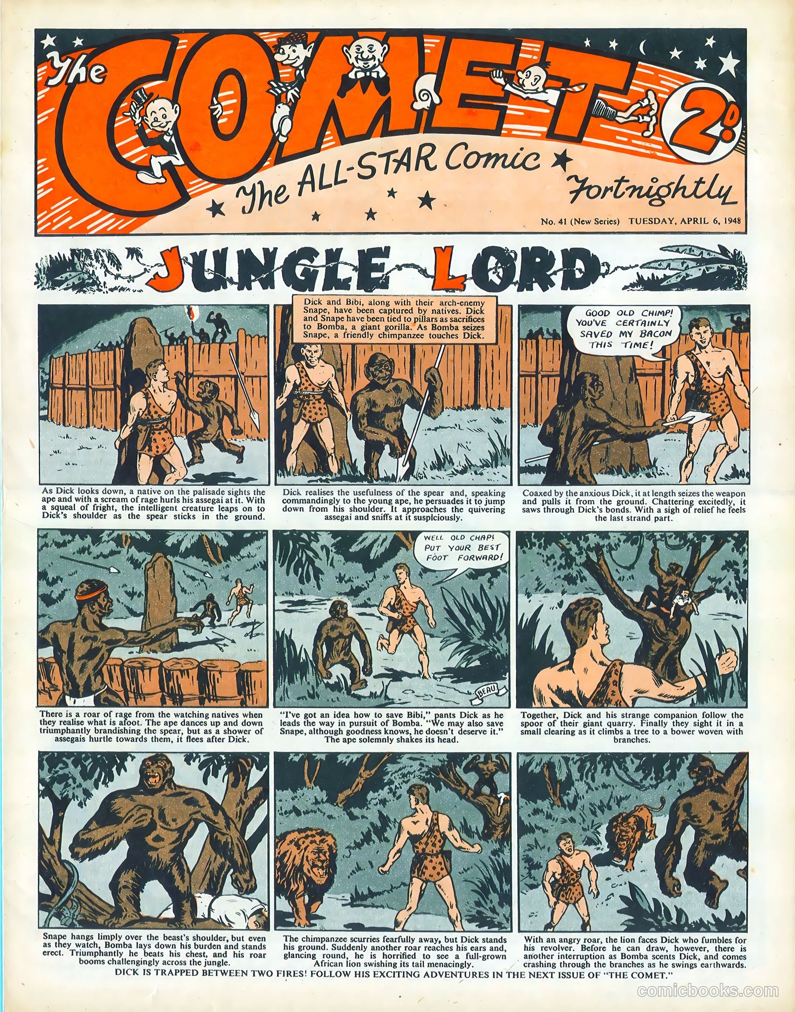 The Comet #41