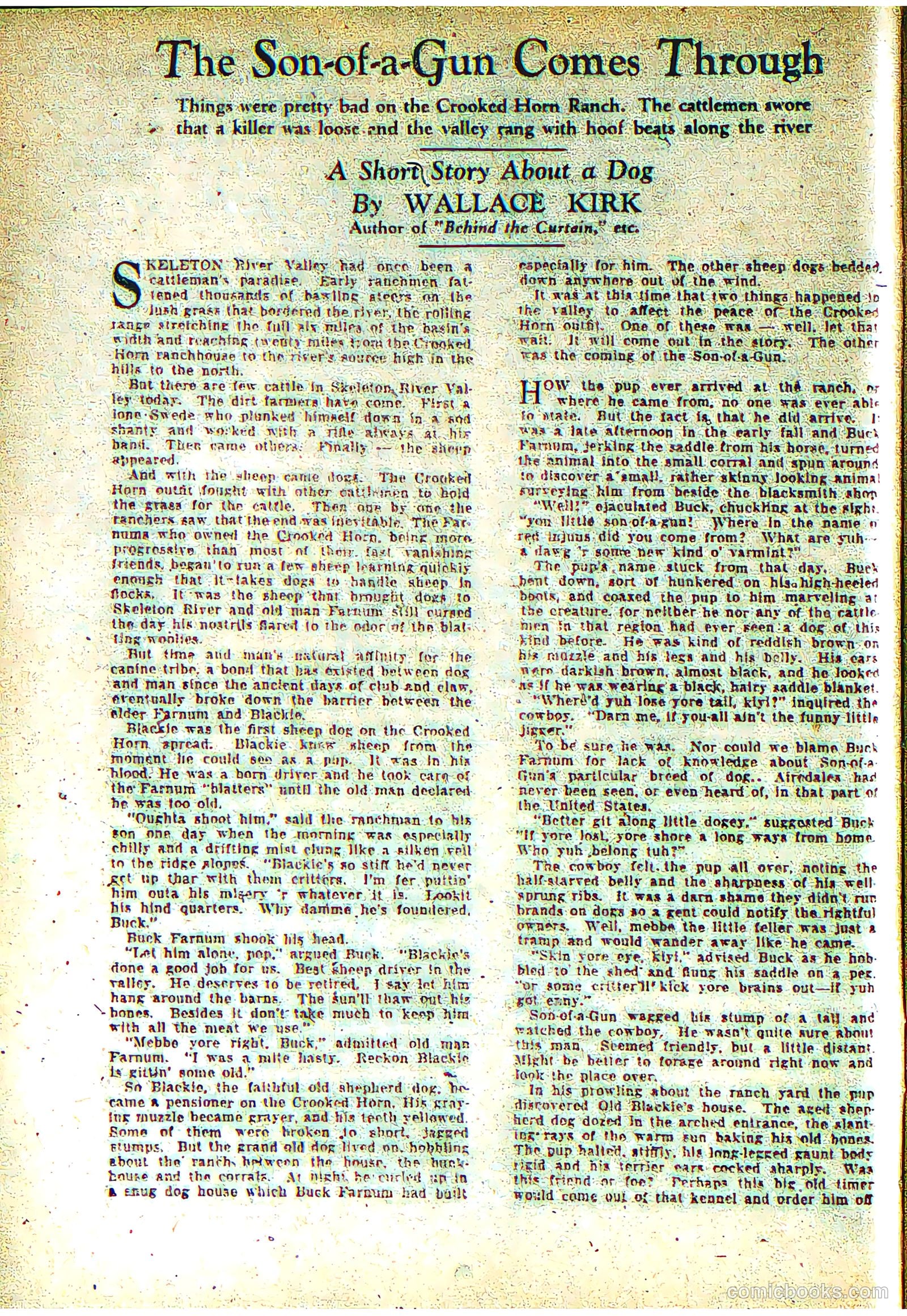 The Comics Magazine #2 (1936) — page 21 of 69