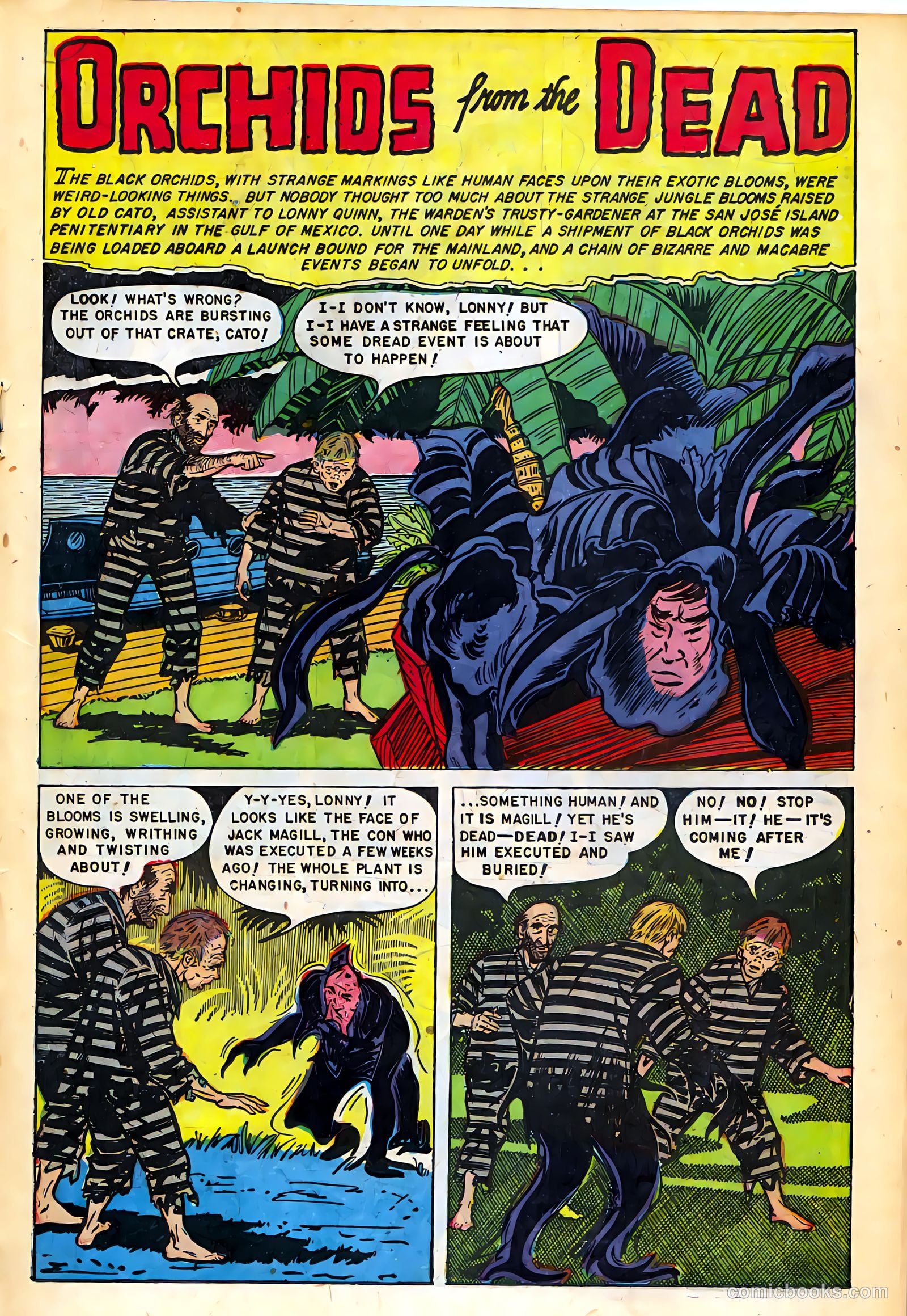 The Hand of Fate #17 (1953) — page 19 of 36
