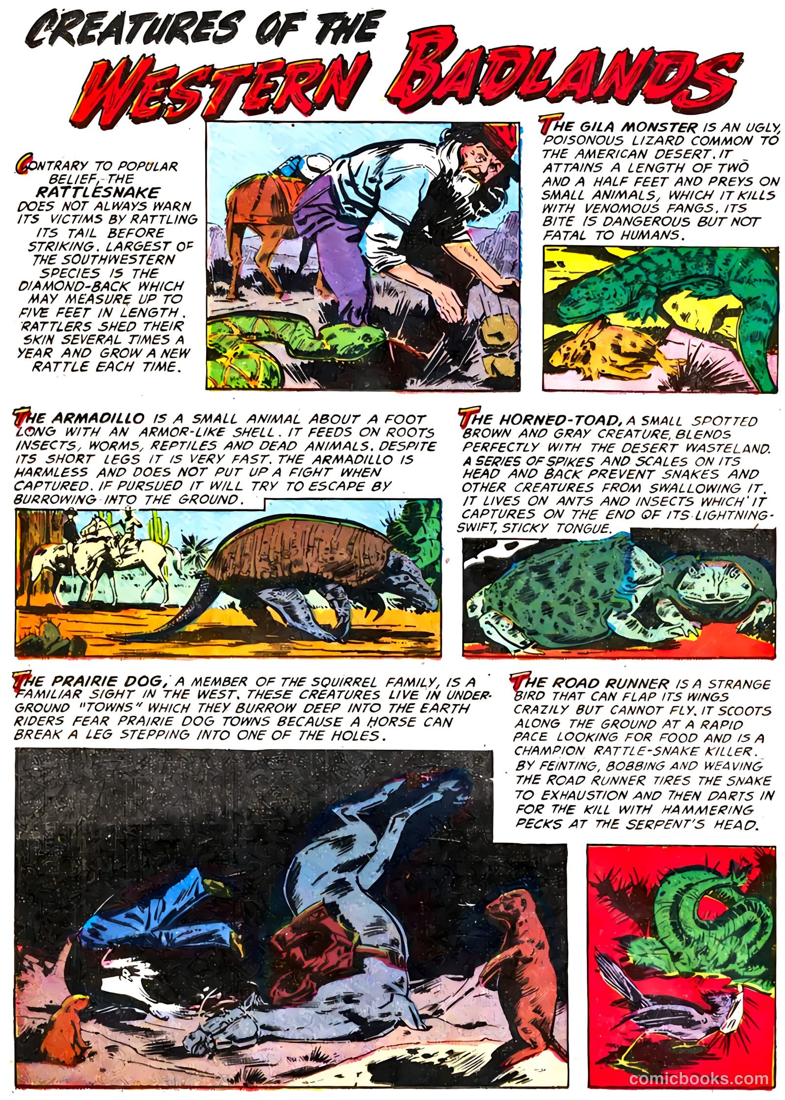 The Hawk #3 (1952) — page 20 of 36