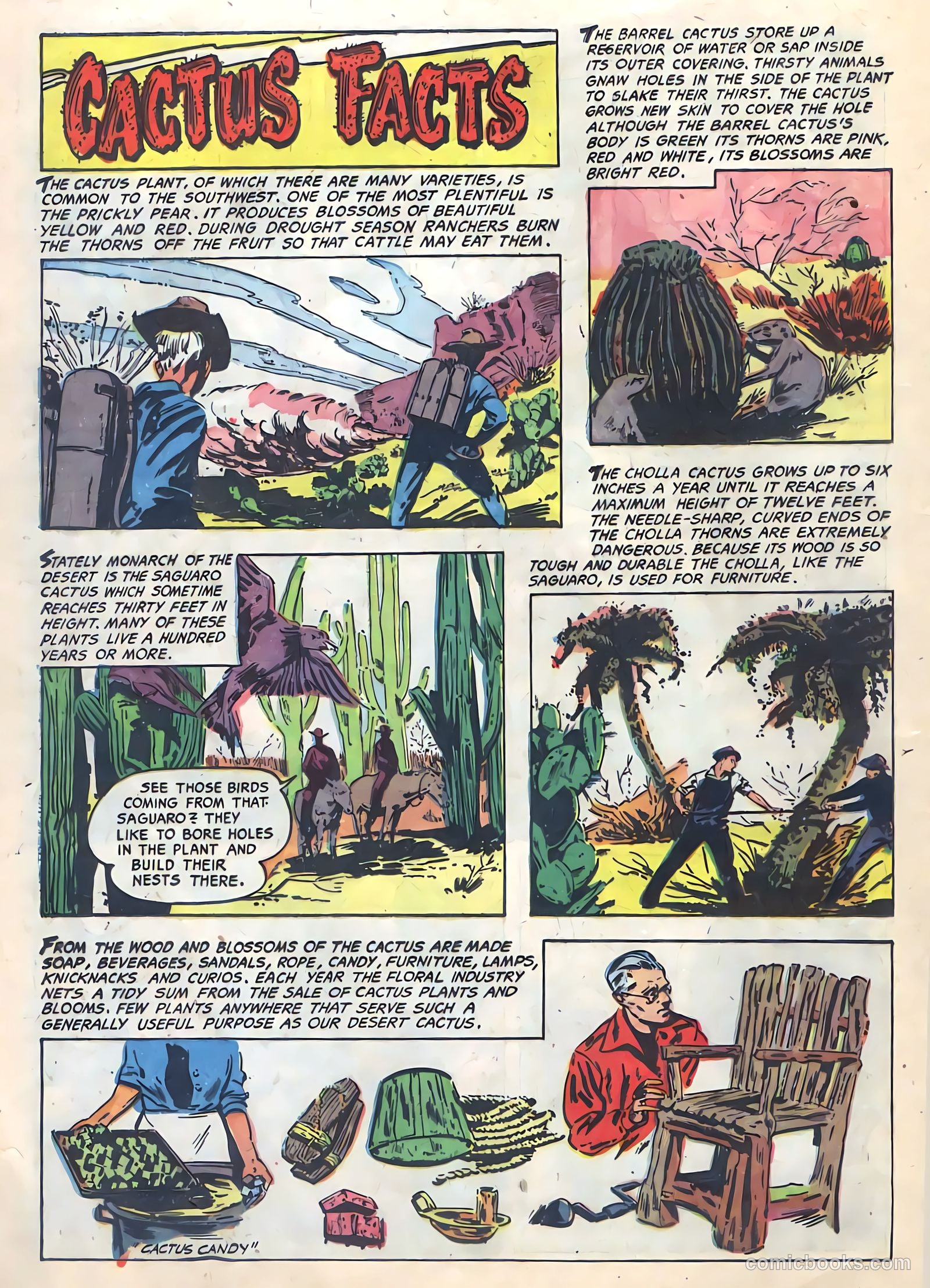 The Hawk #4 (1953) — page 24 of 36