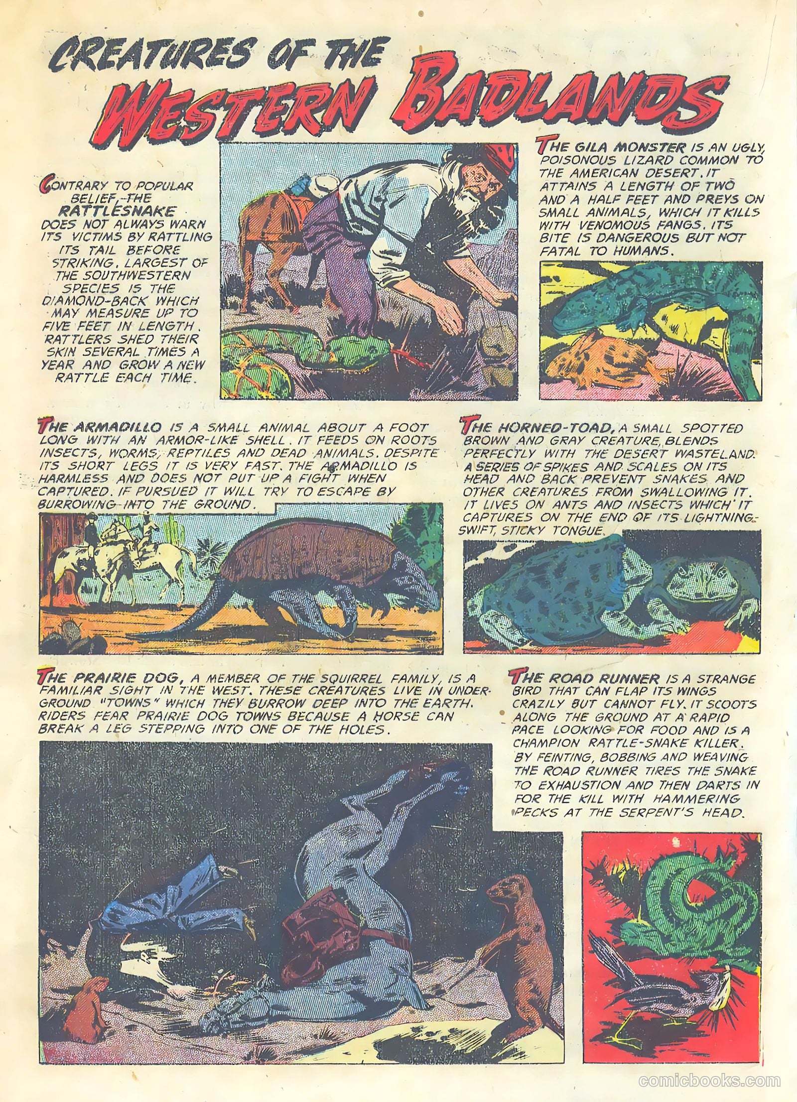 The Hawk #8 (1954) — page 20 of 36