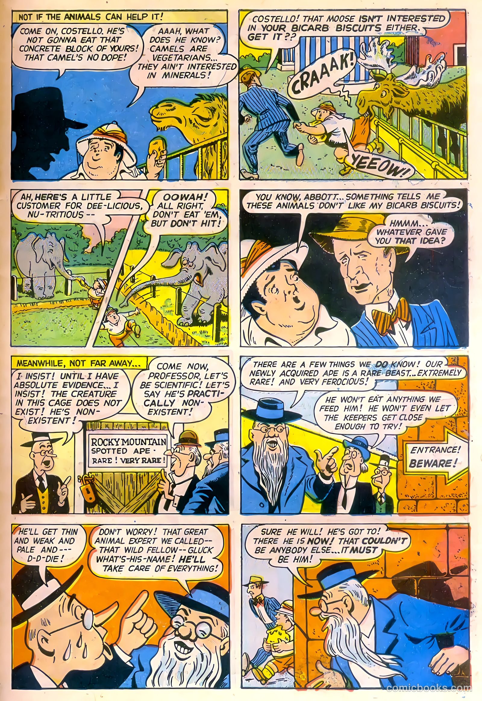 Abbott and Costello Comics #8 (1950) — page 31 of 36