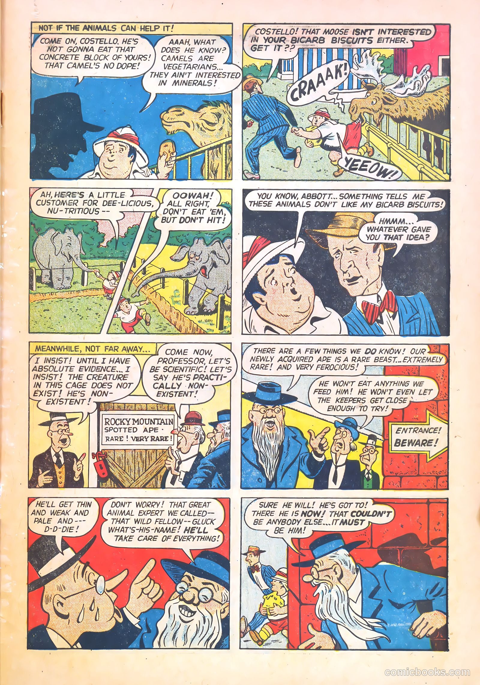 Abbott and Costello Comics #28 (1955) — page 31 of 36