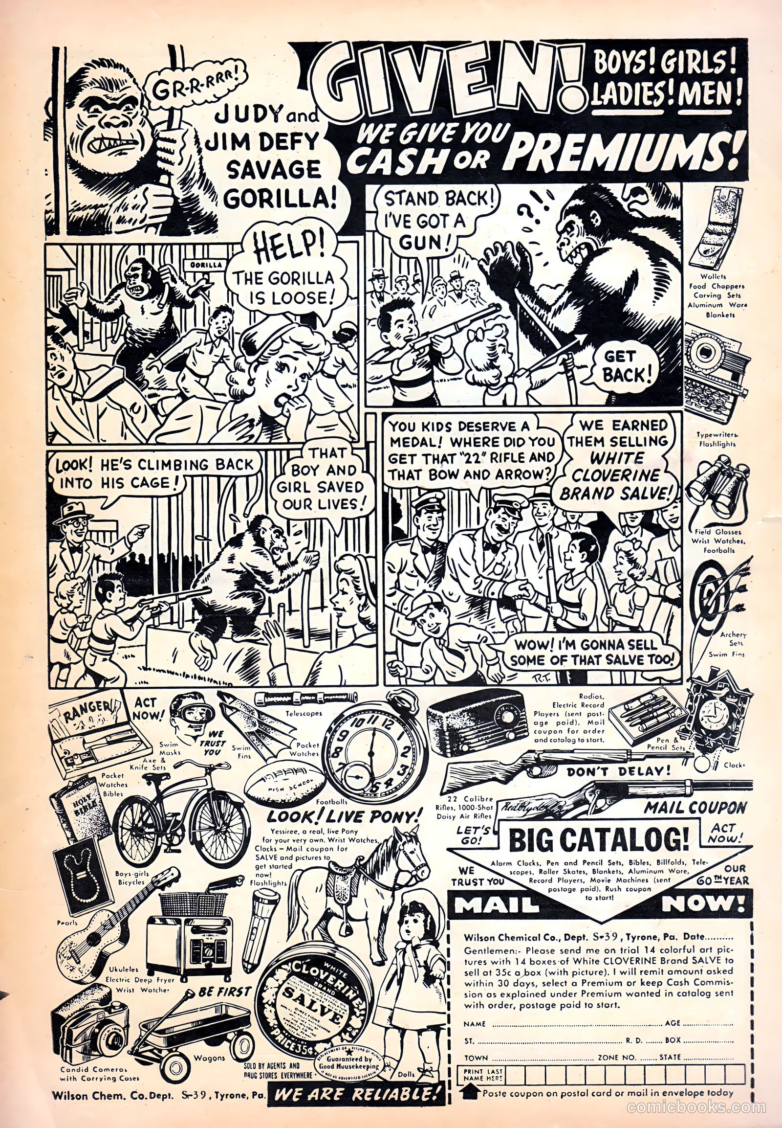 Abbott and Costello Comics #30 (1955) — page 35 of 36