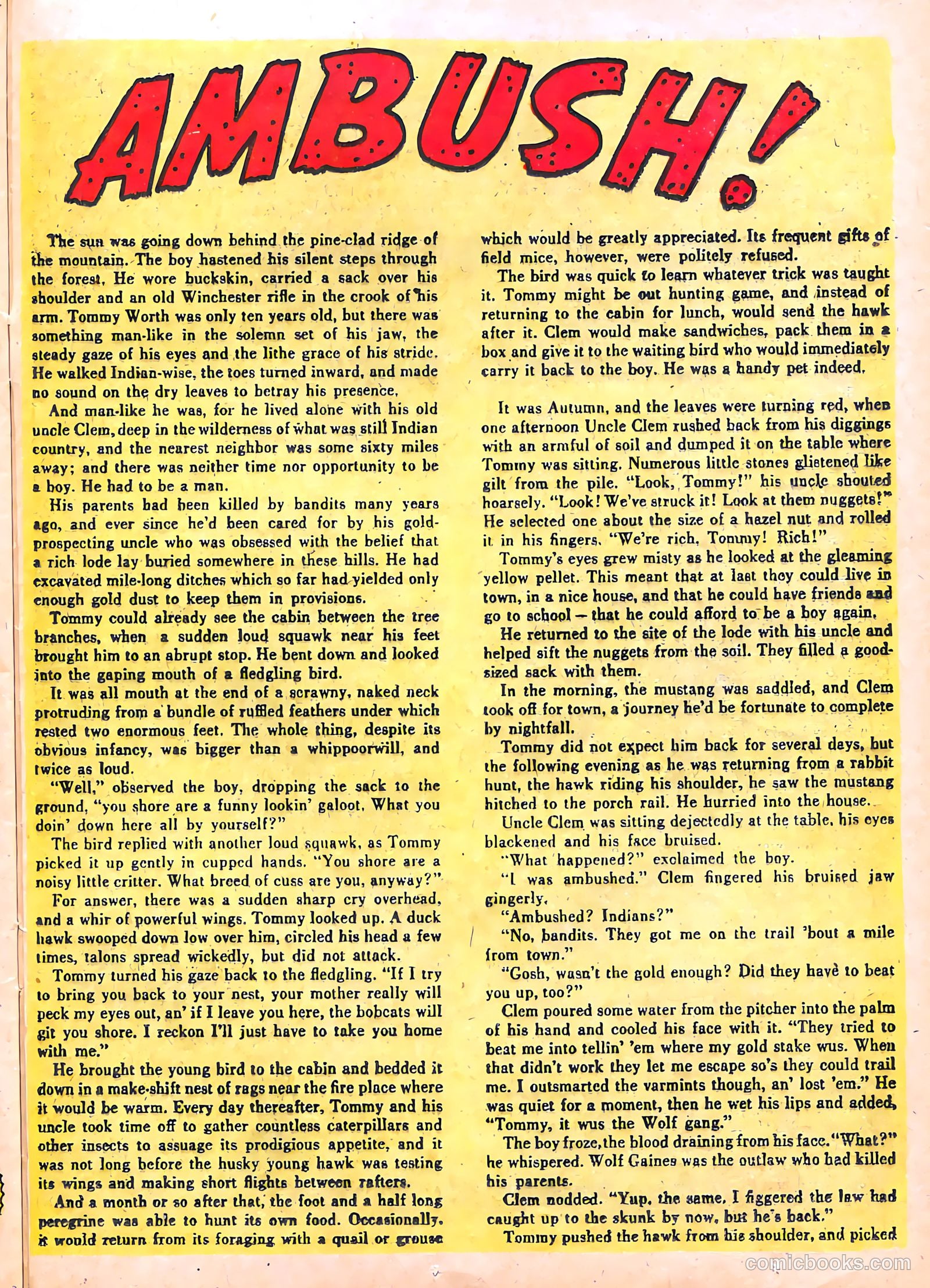 The Lone Rider #21 (1954) — page 25 of 36