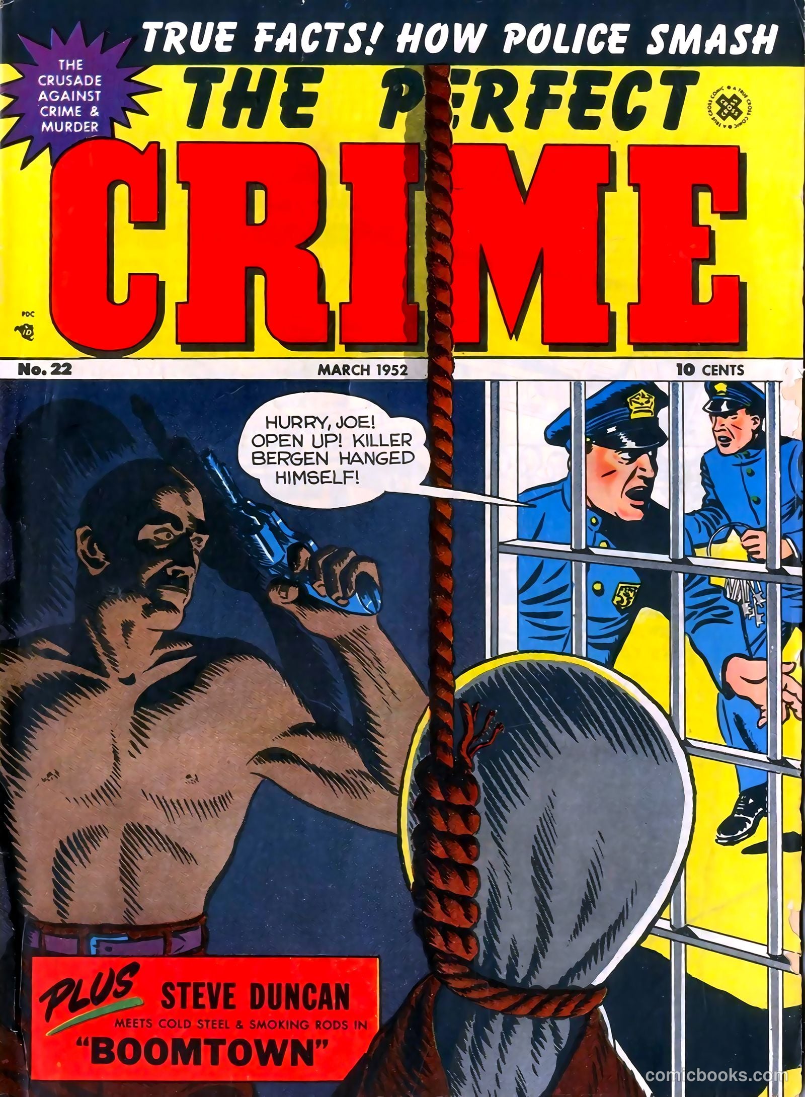 The Perfect Crime #22