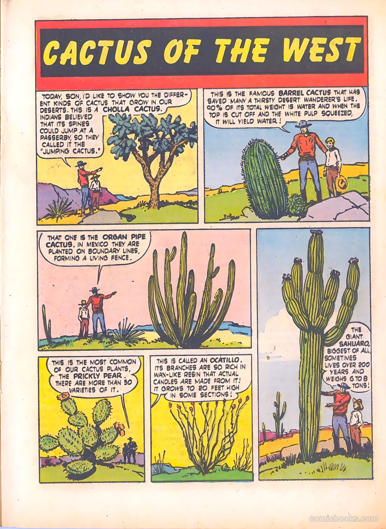 The Ranger #24 (1949) — page 15 of 36