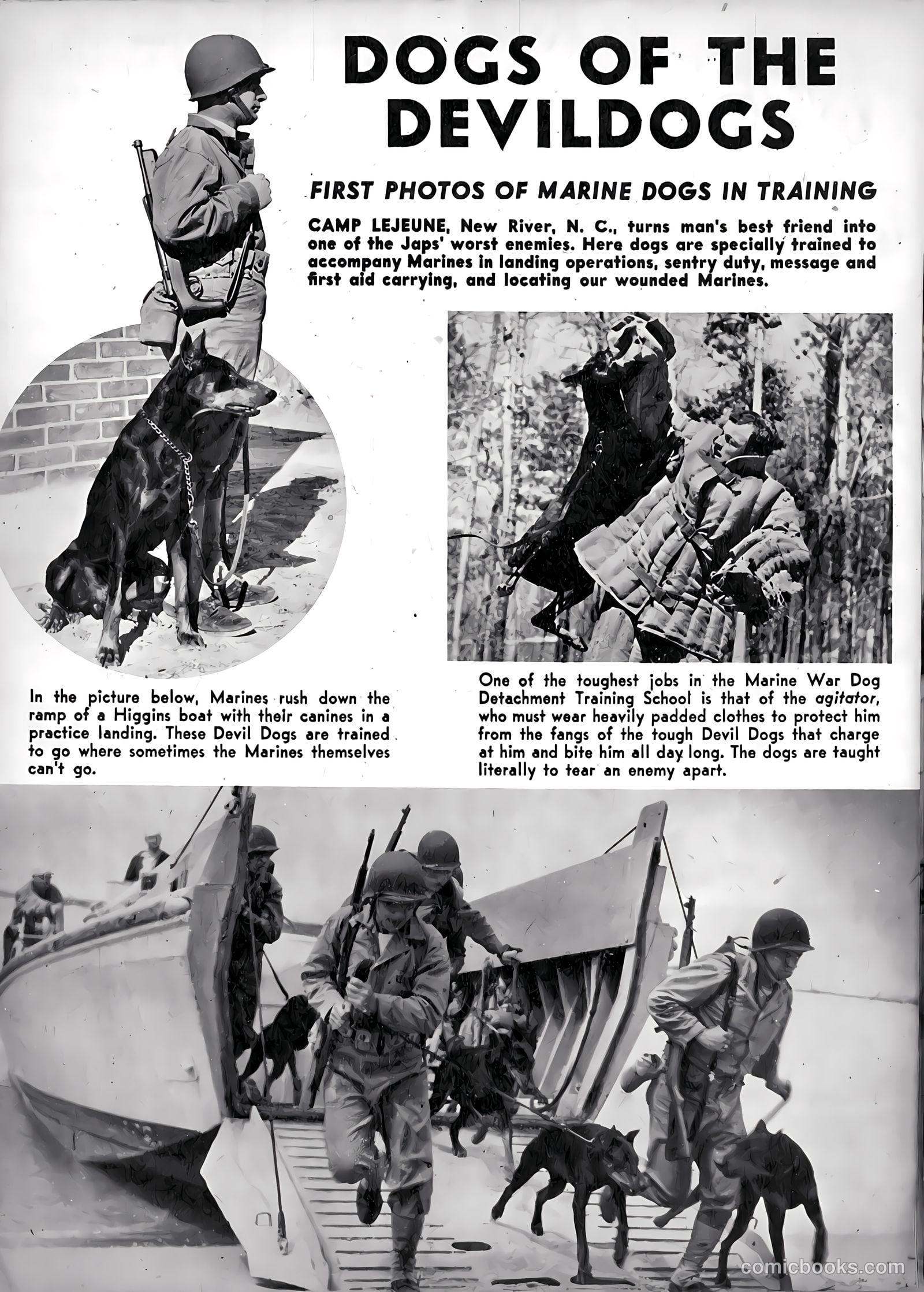 The United States Marines #2 (1944) — page 22 of 52