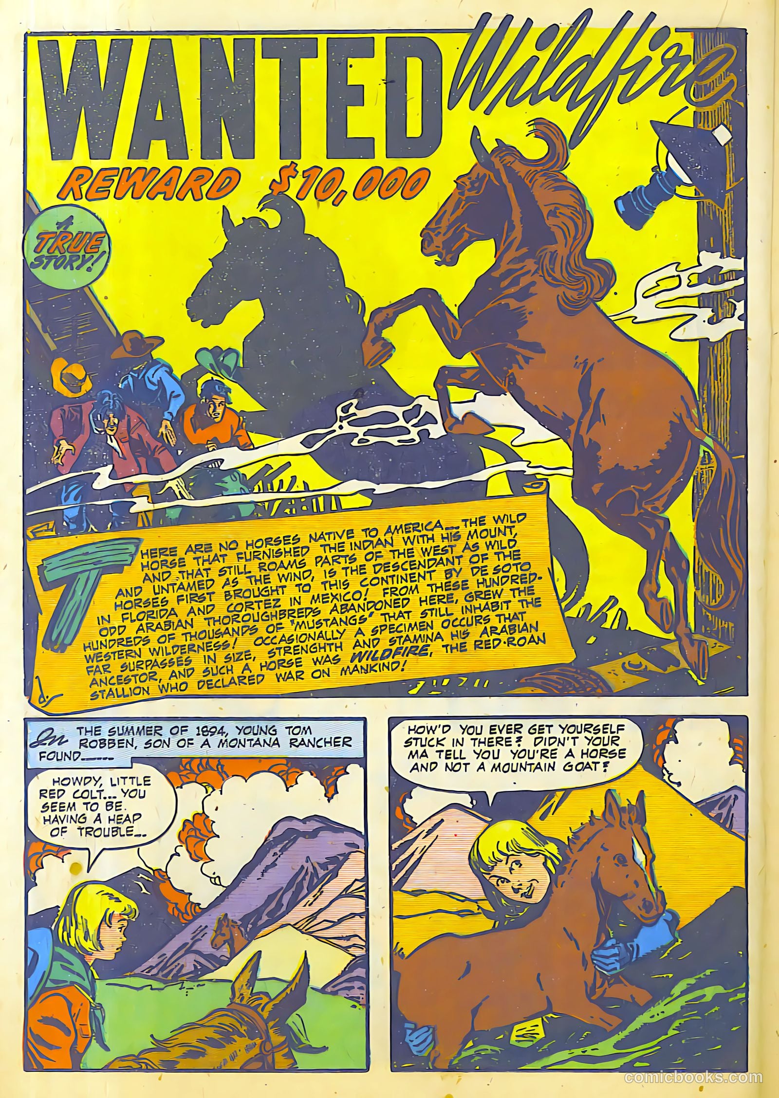 The Westerner #14 (1948) — page 28 of 52