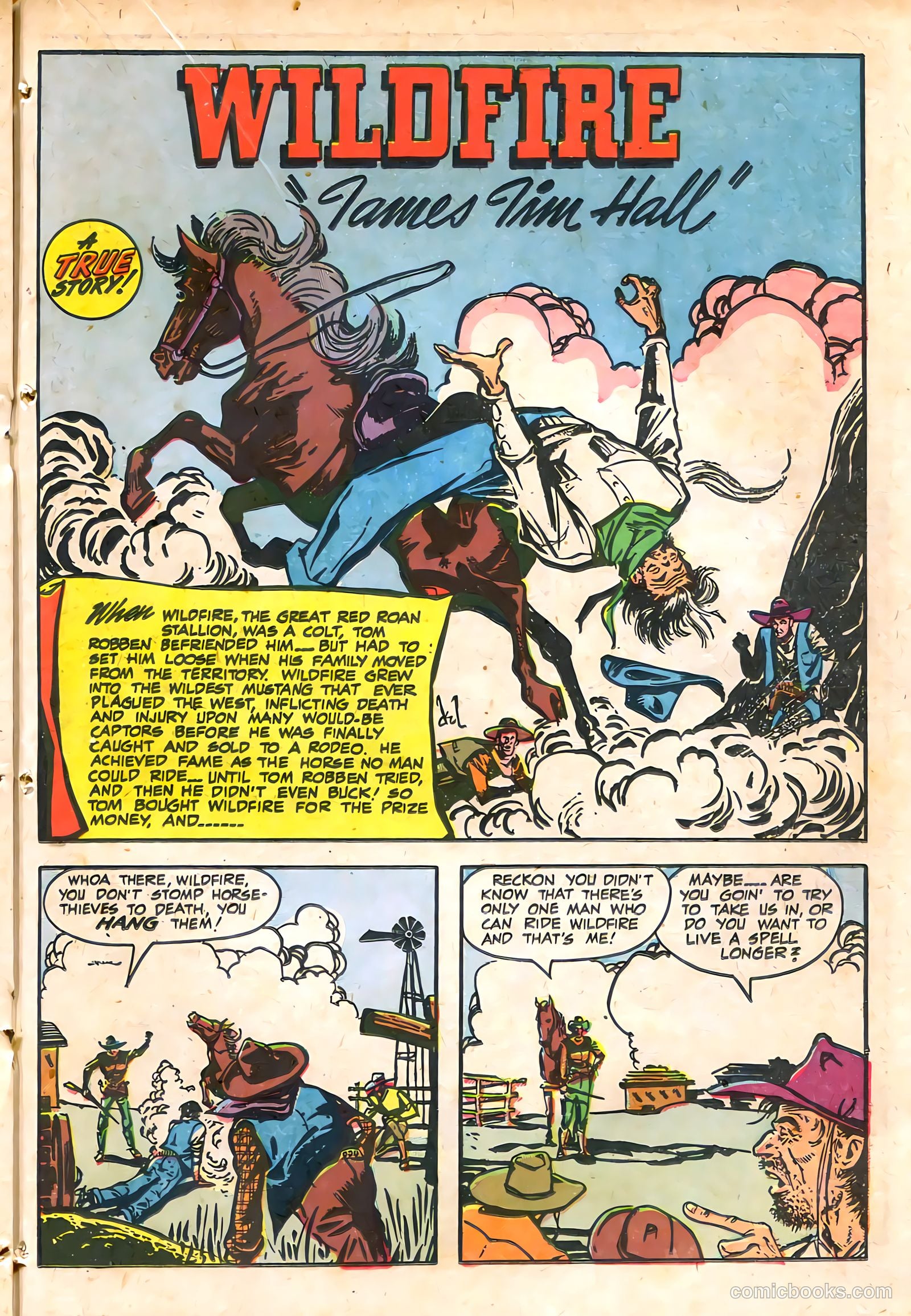 The Westerner Comics #15 (1948) — page 29 of 52