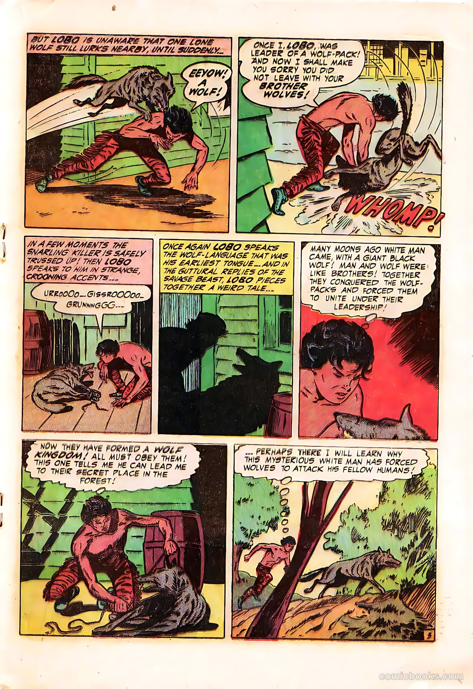 The Westerner Comics #39 (1951) — page 19 of 36