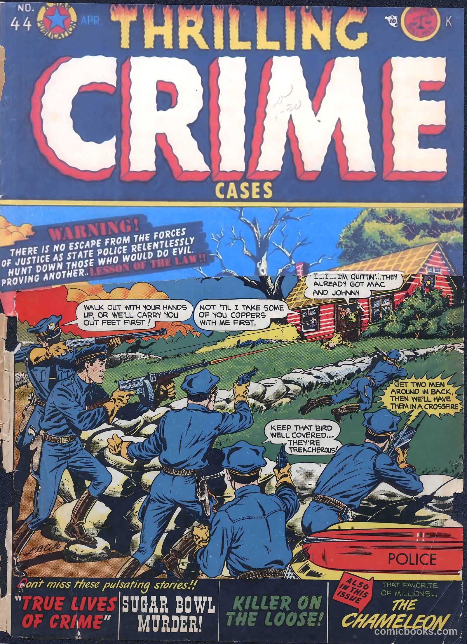 Thrilling Crime Cases #44