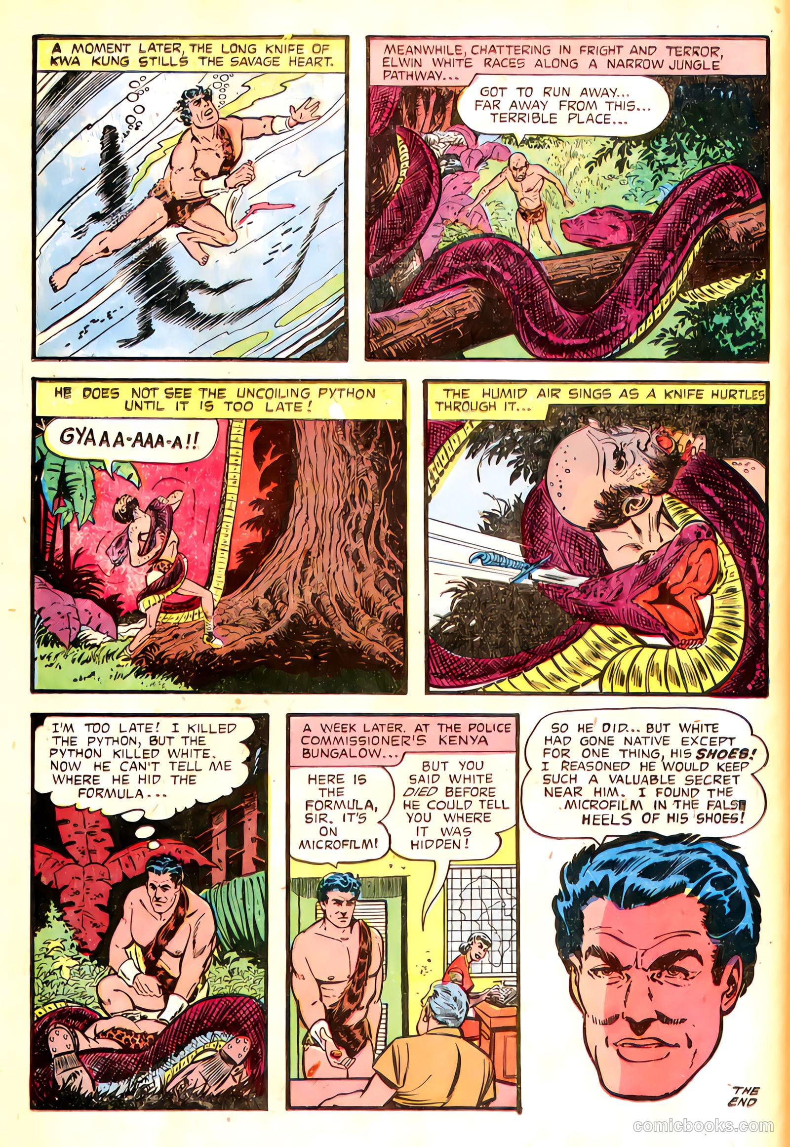Thun'da, King of the Congo #5 (1953) — page 18 of 36