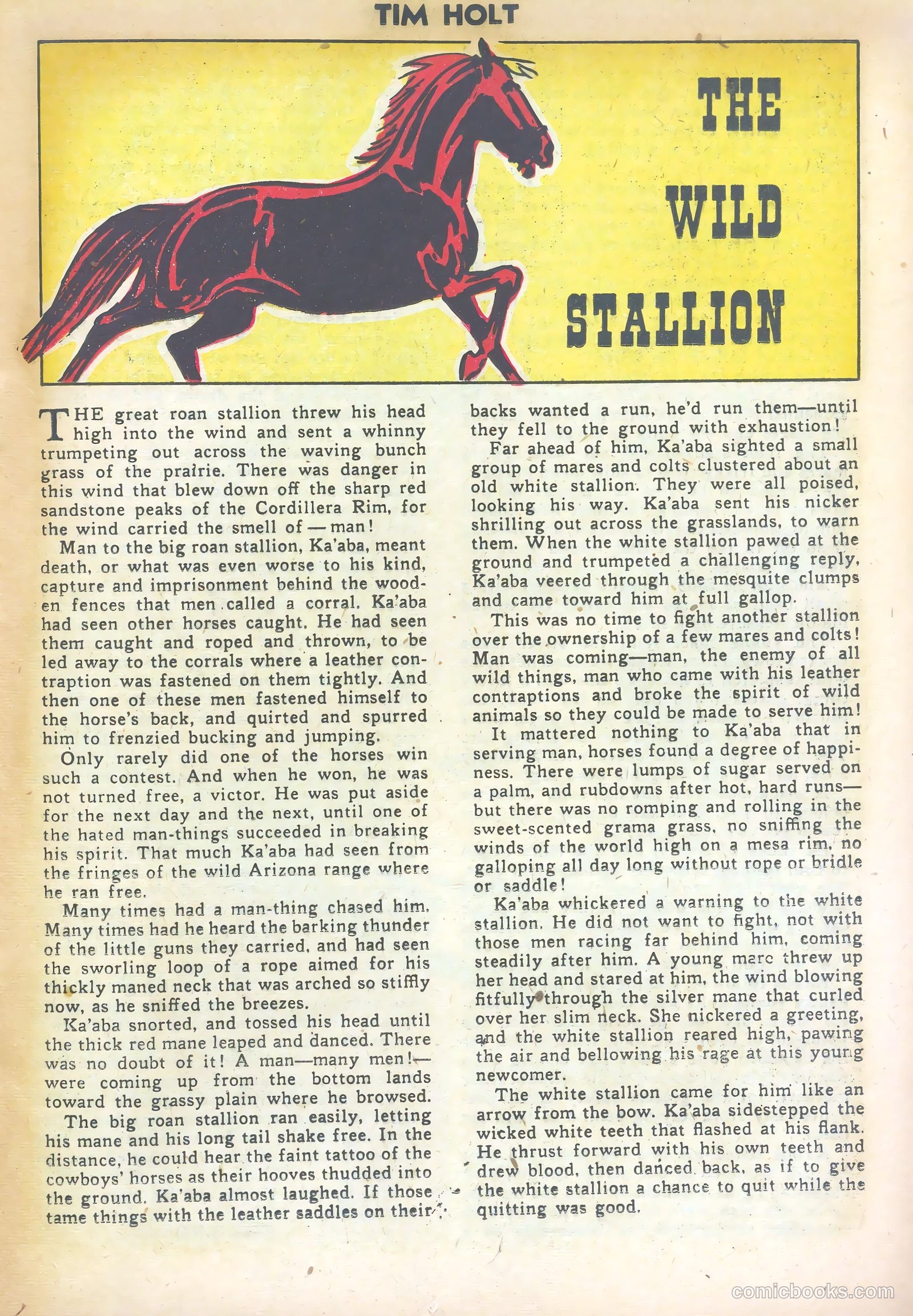 Tim Holt #26 (1951) — page 17 of 36