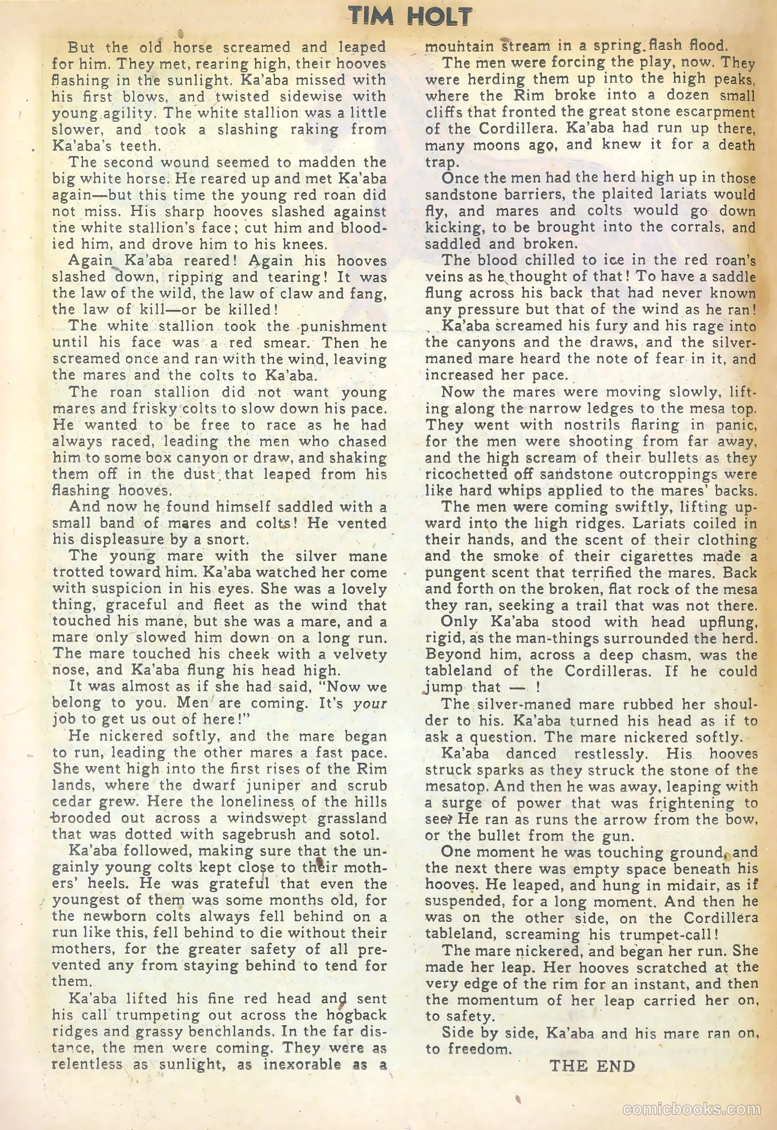 Tim Holt #26 (1951) — page 18 of 36