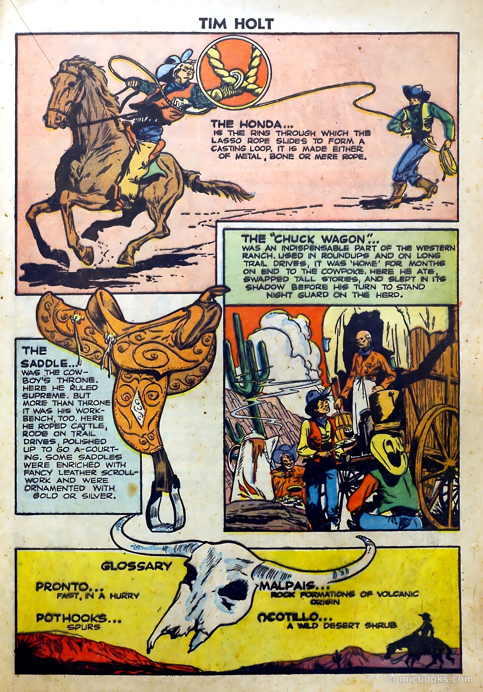 Tim Holt #5 (1949) — page 17 of 36