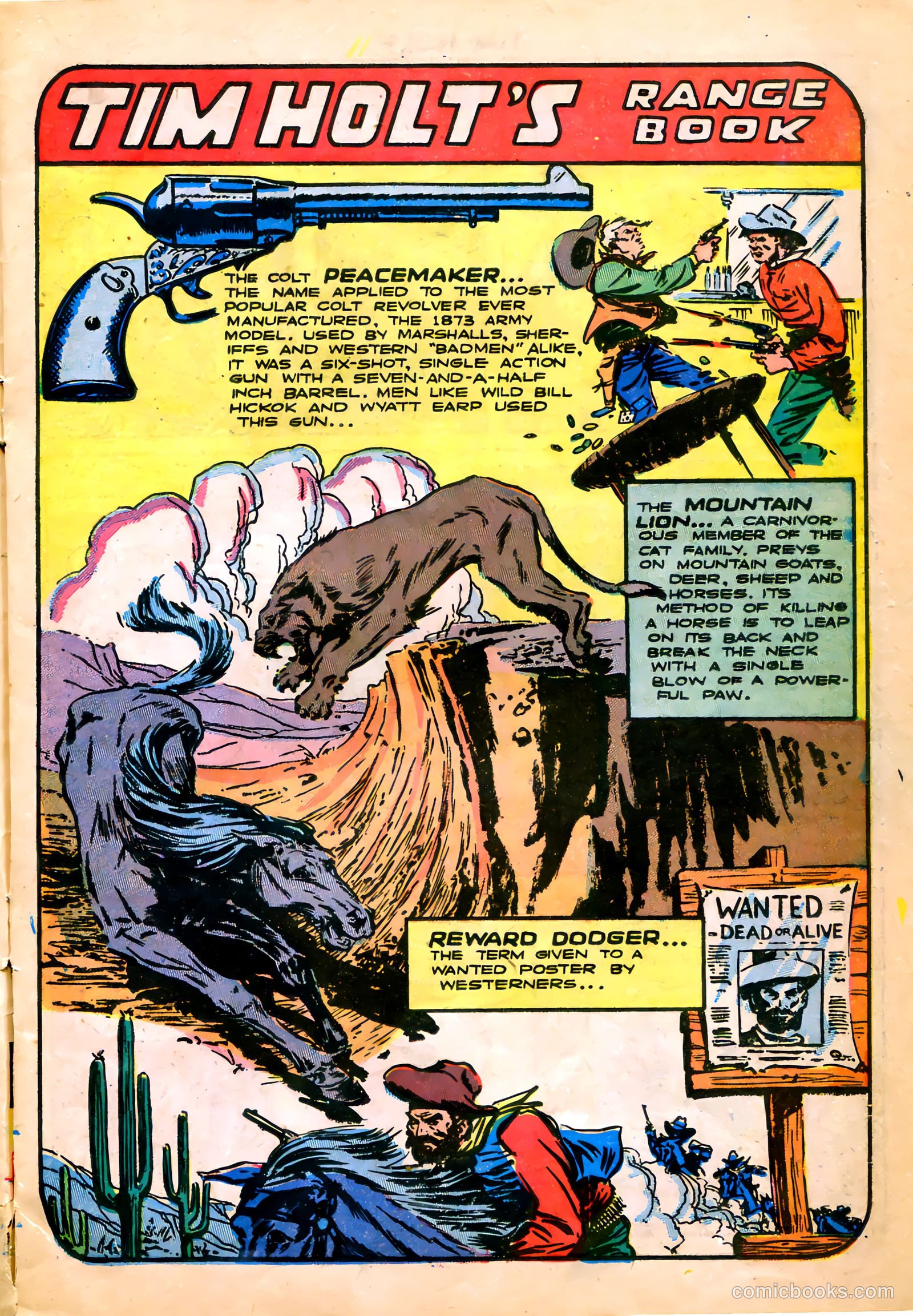 Tim Holt #7 (1949) — page 13 of 36