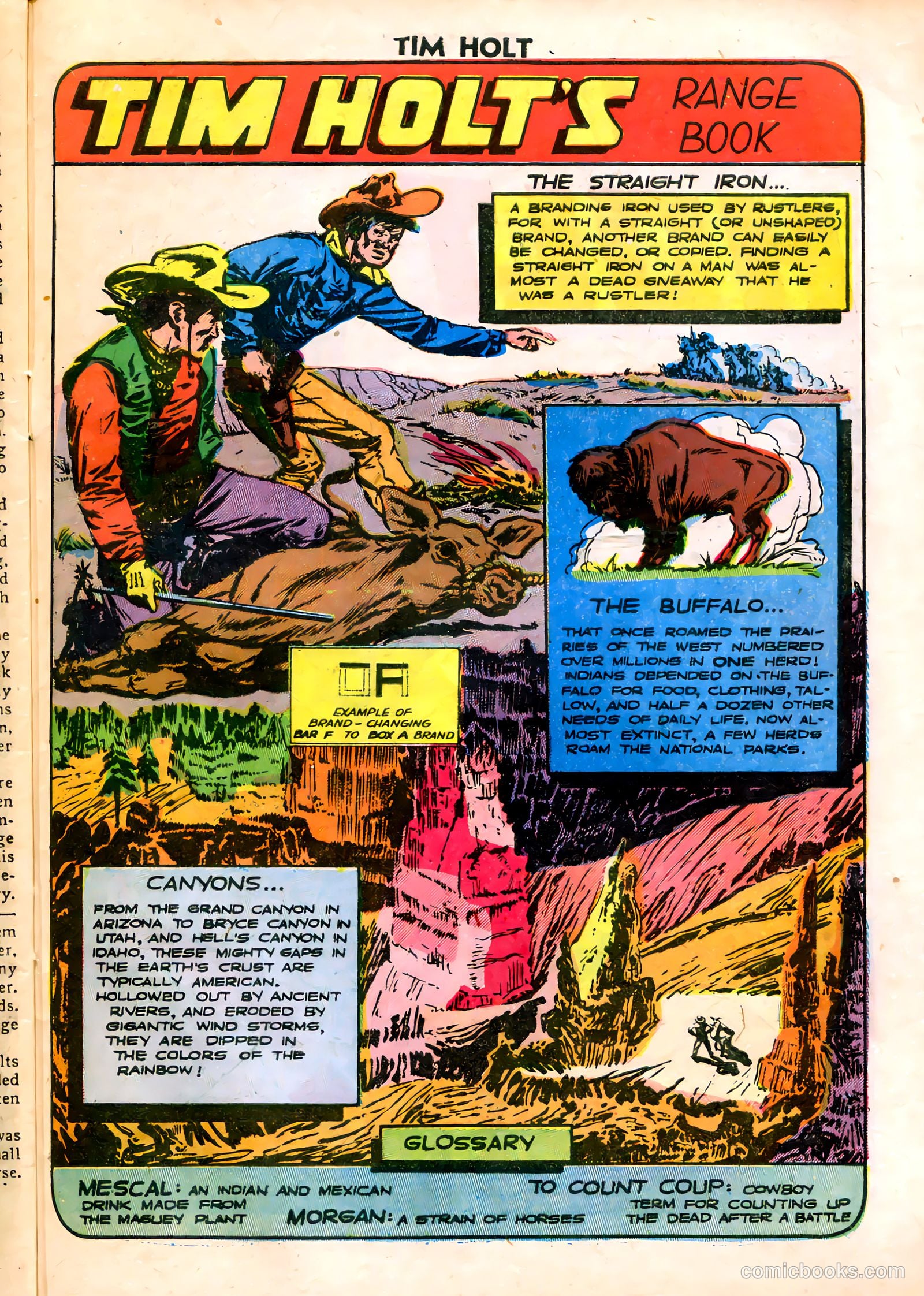 Tim Holt #8 (1949) — page 27 of 36