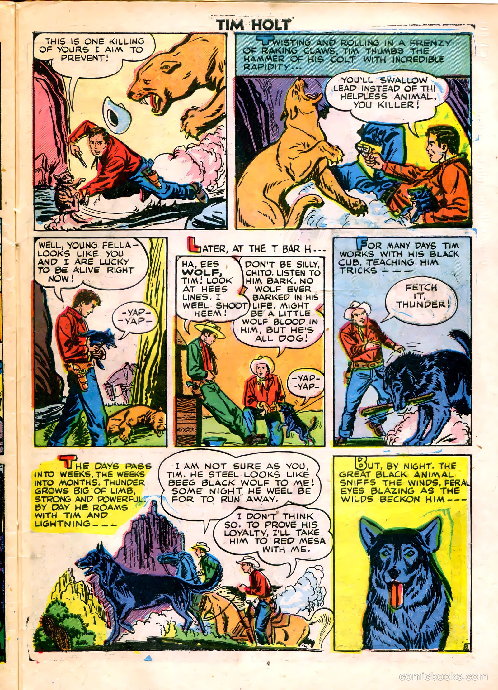Tim Holt #8 (1949) — page 29 of 36