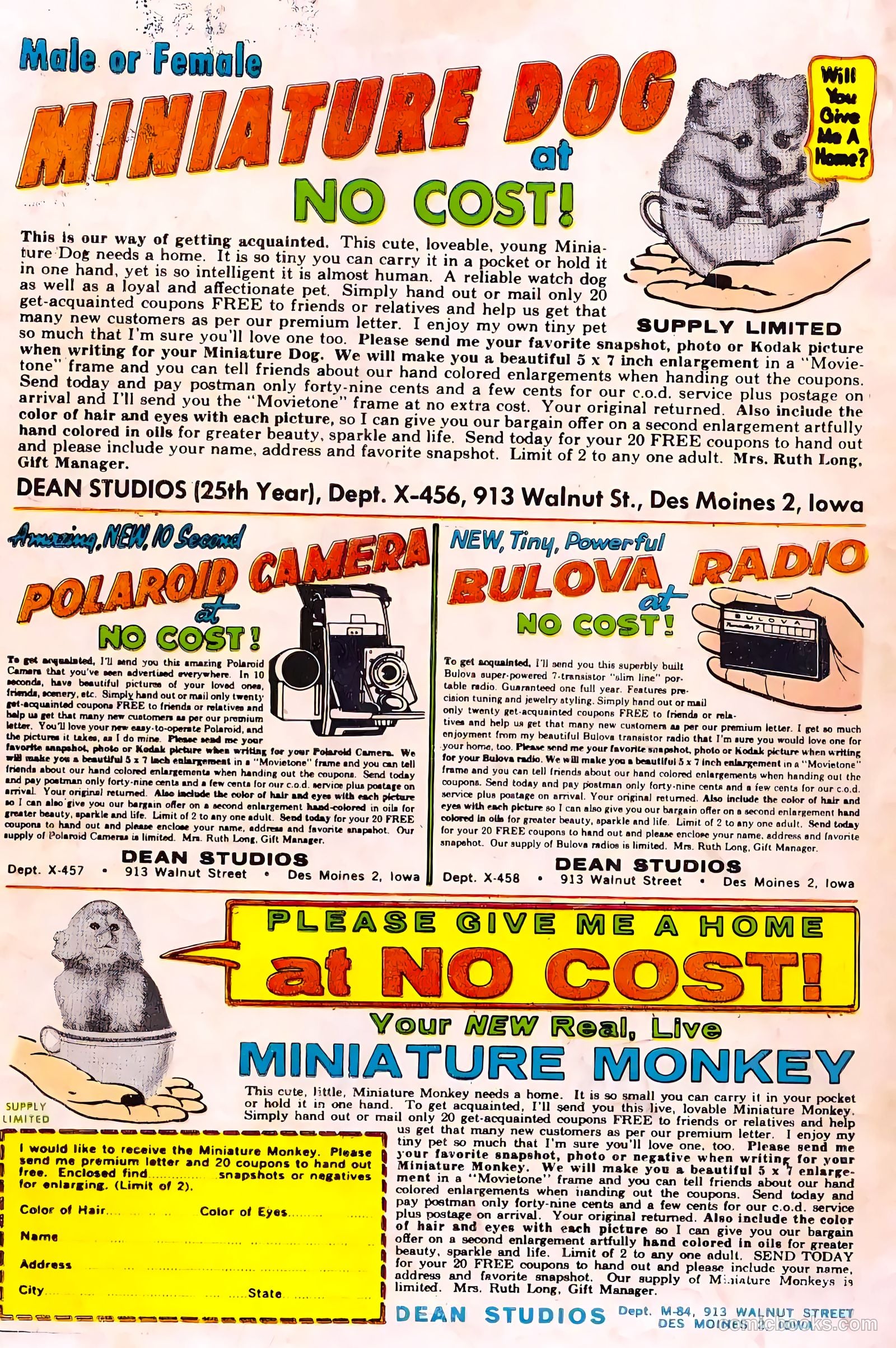 Timmy the Timid Ghost #33 (1962) — page 36 of 36