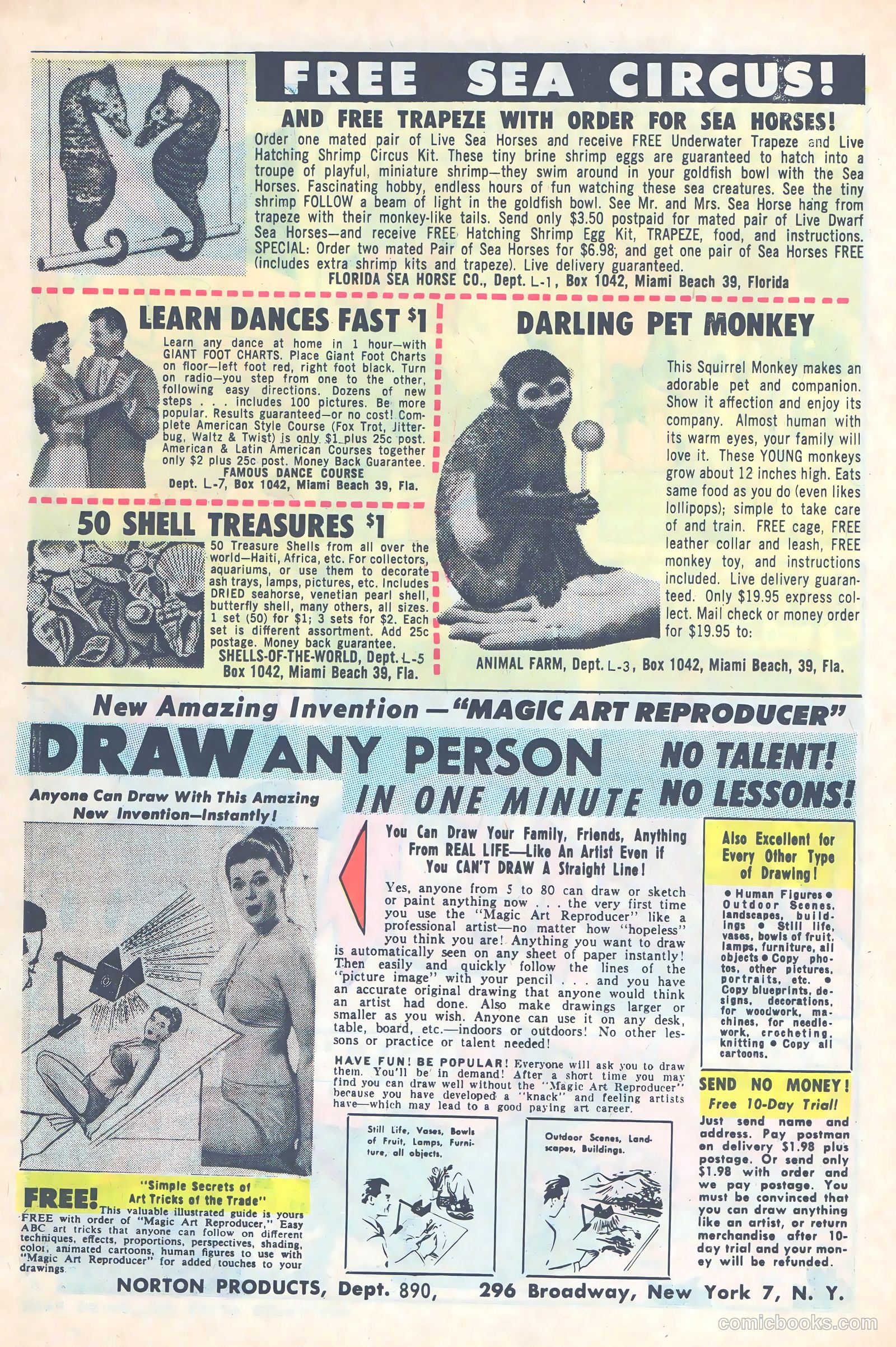 Timmy the Timid Ghost #41 (1963) — page 6 of 36