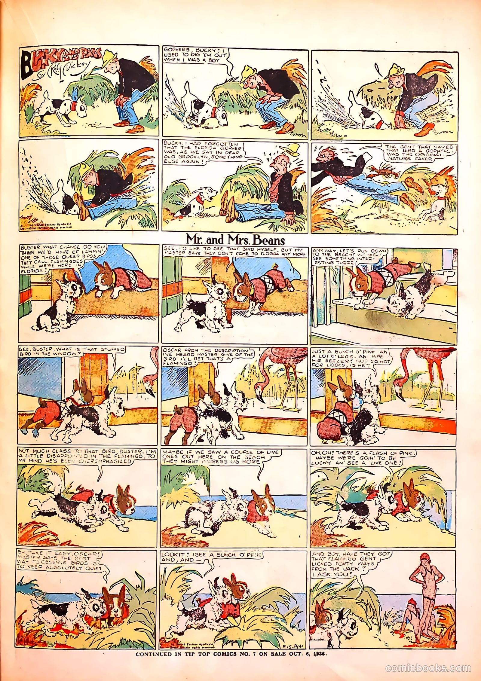 Tip Topper Comics #6 (1950) — page 36 of 61