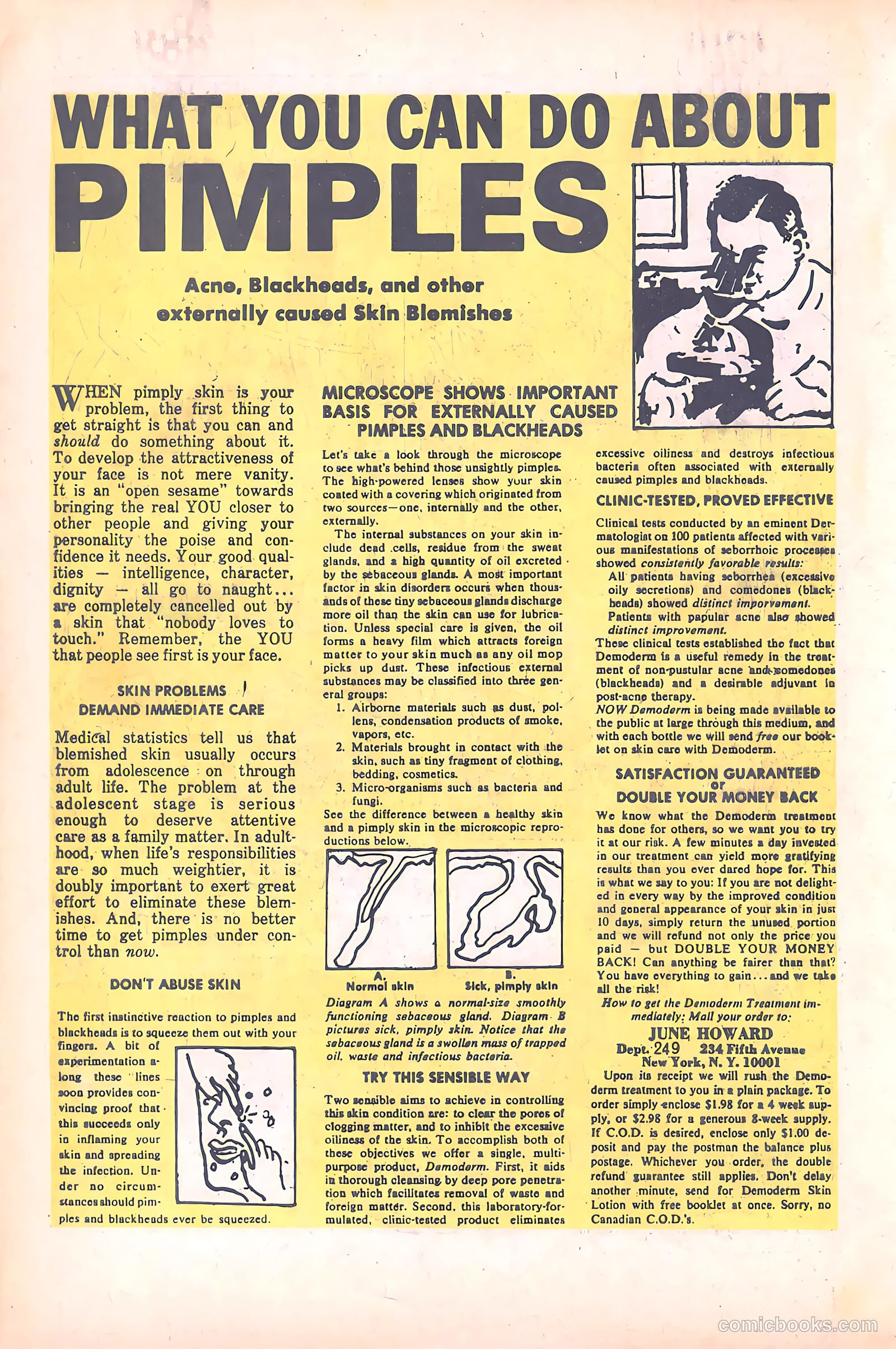 Tippy's Friends Go-Go and Animal #5 (1967) — page 65 of 67