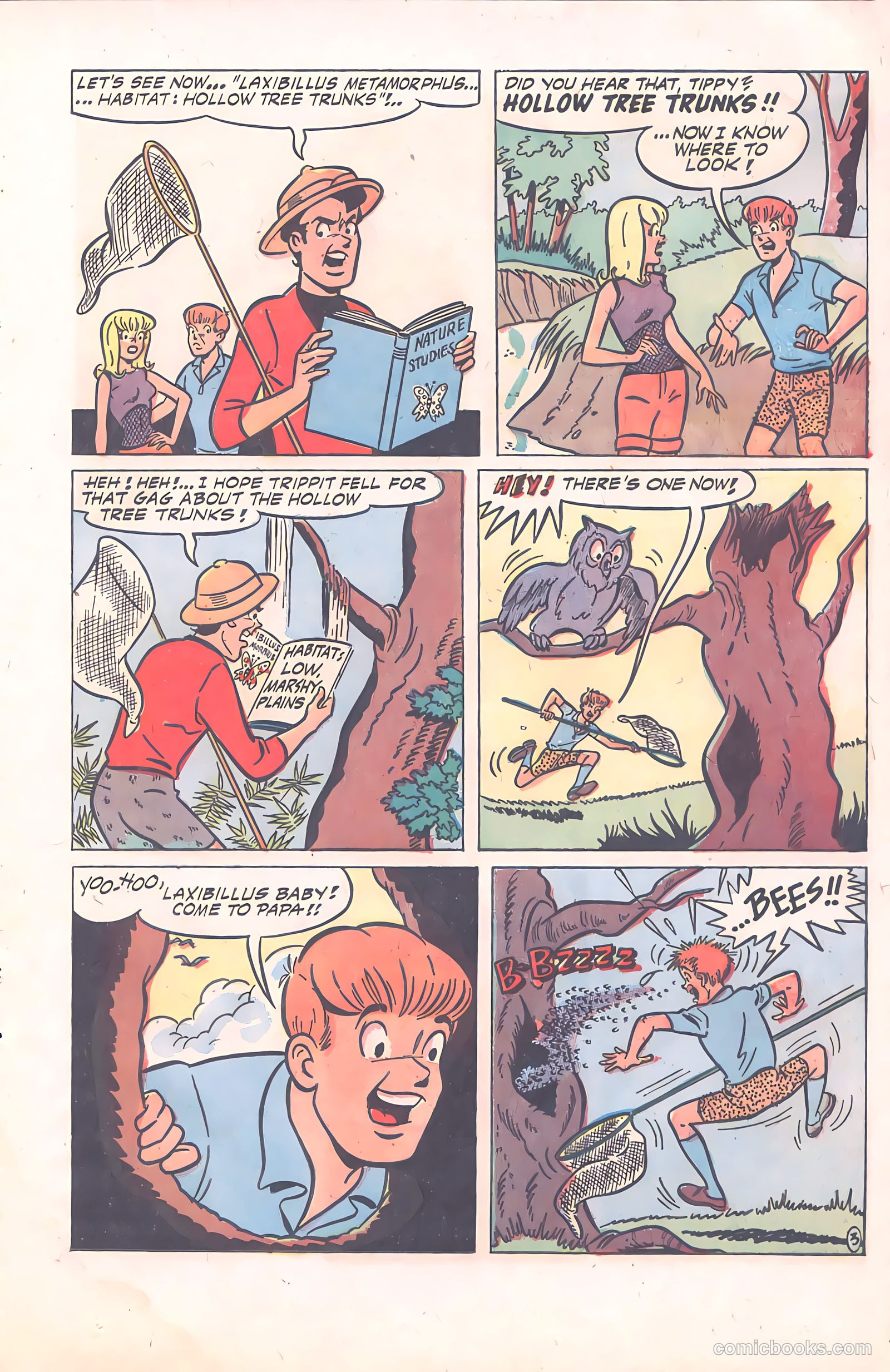 Tippy Teen #10 (1966) — page 25 of 68