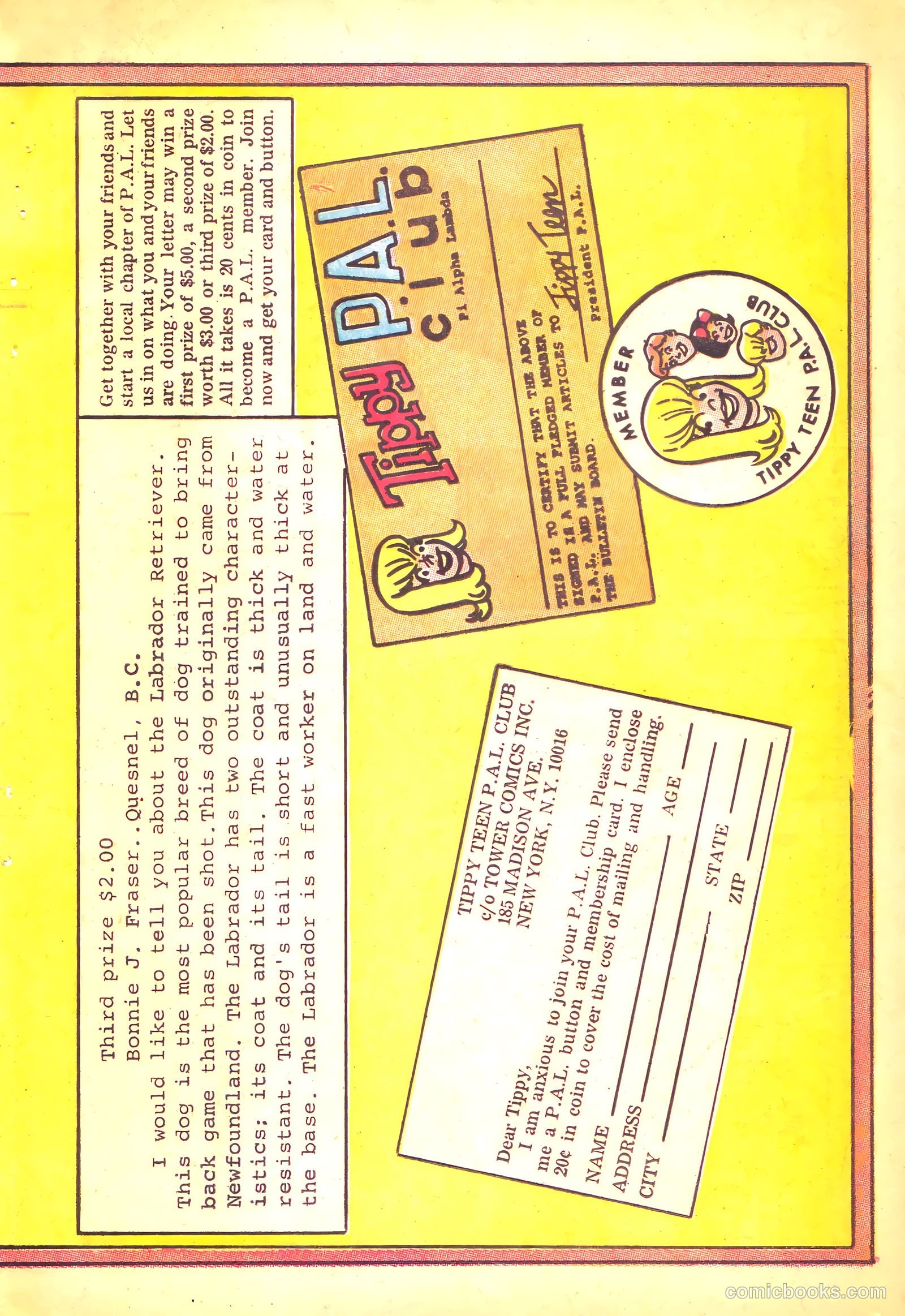 Tippy Teen #20 (1968) — page 38 of 50