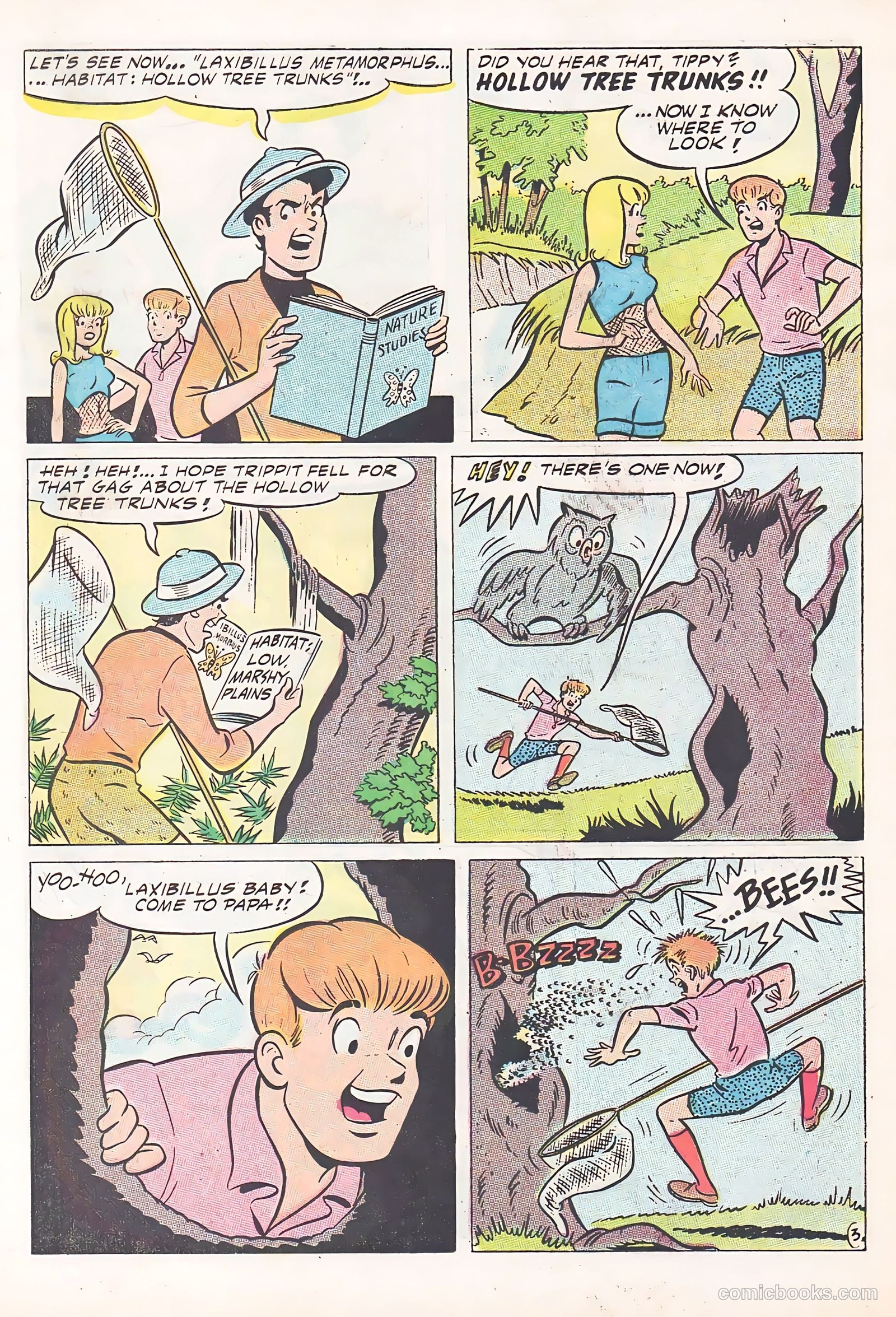 Tippy Teen #25 (1969) — page 35 of 52
