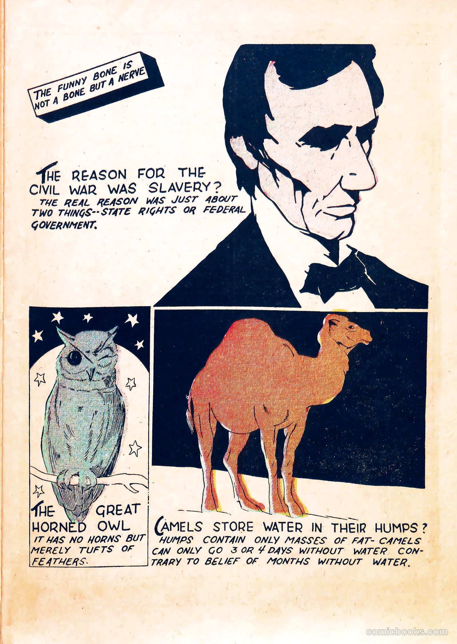 TNT Comics #1 (1946) — page 11 of 36