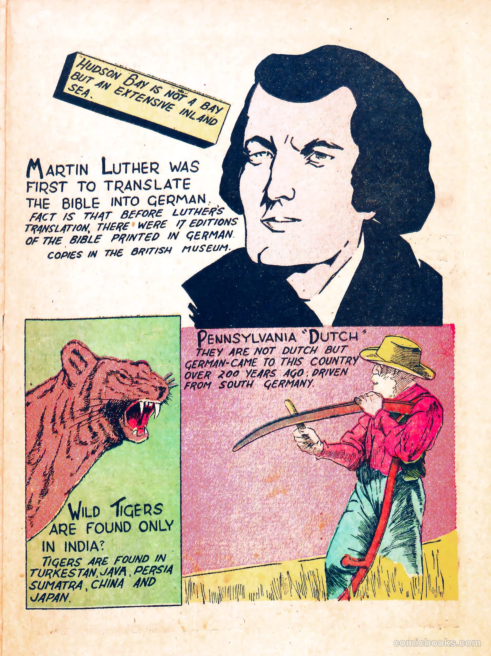 TNT Comics #1 (1946) — page 21 of 36